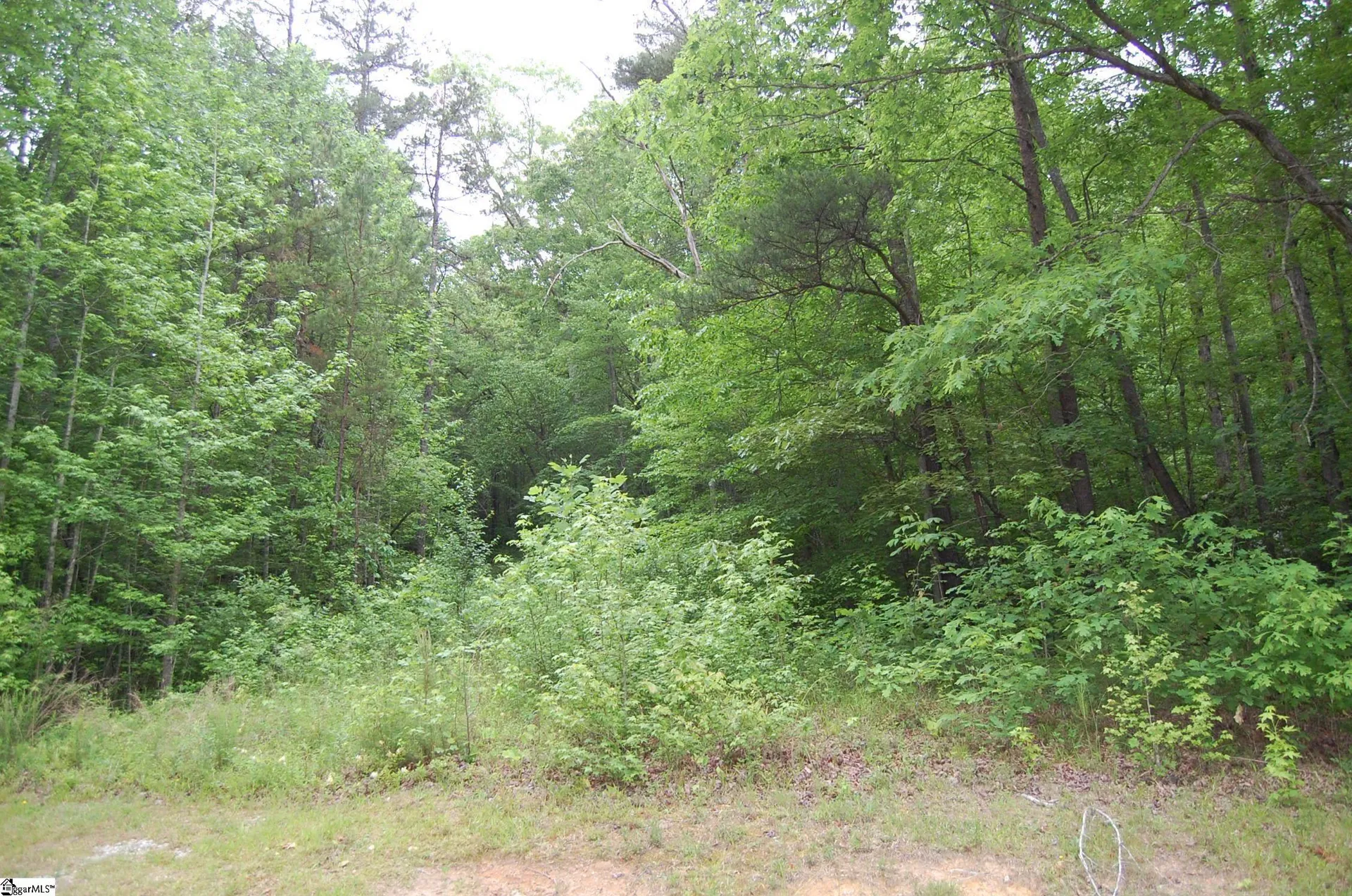 Property image 3 at 5 Queensmoor Road, Travelers Rest, SC 29690