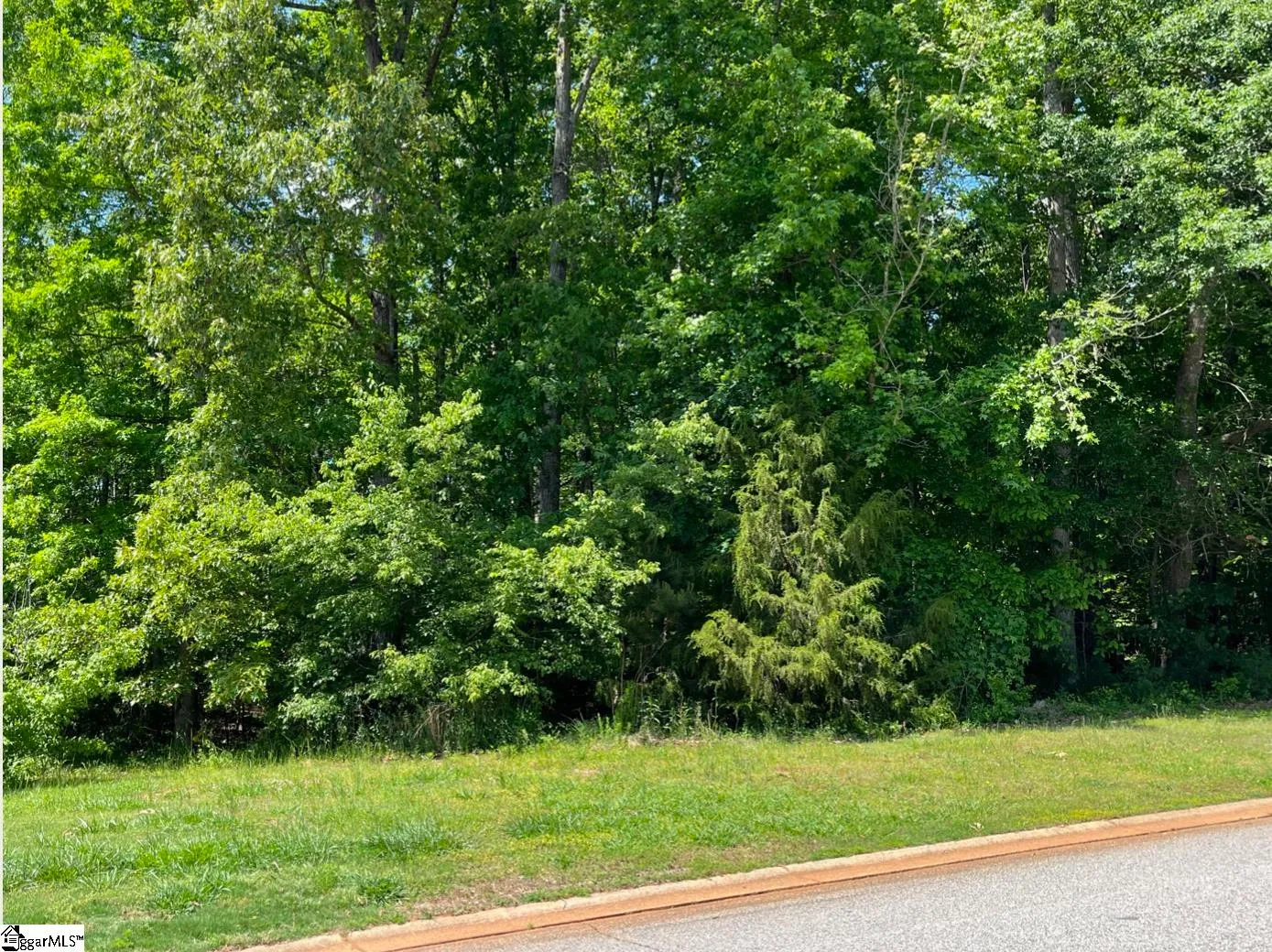 Property image 4 at 210 Golden Willow Court, Easley, SC 29642