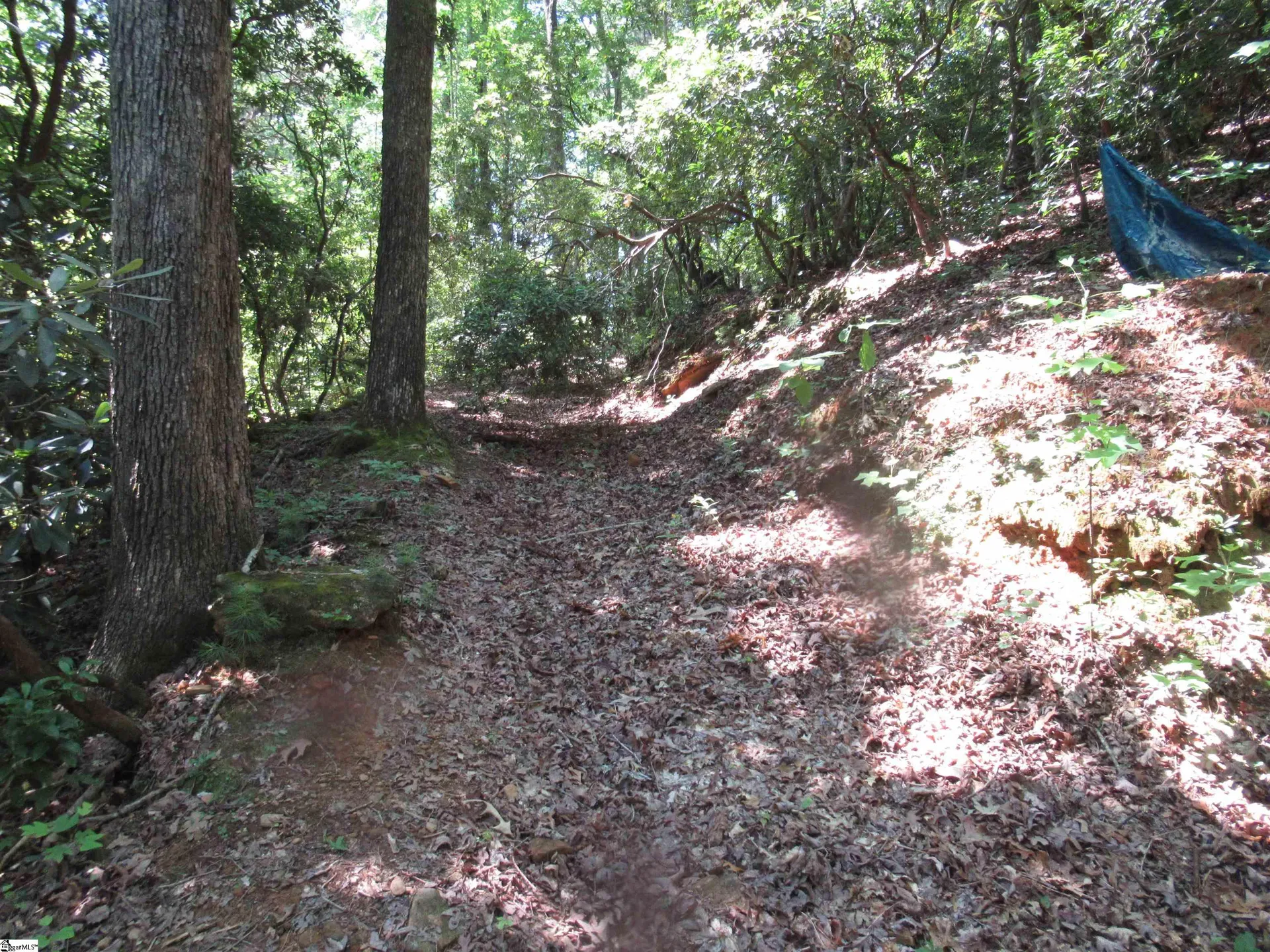 Property image 4 at 371 Gauley Falls Road, Pickens, SC 29671
