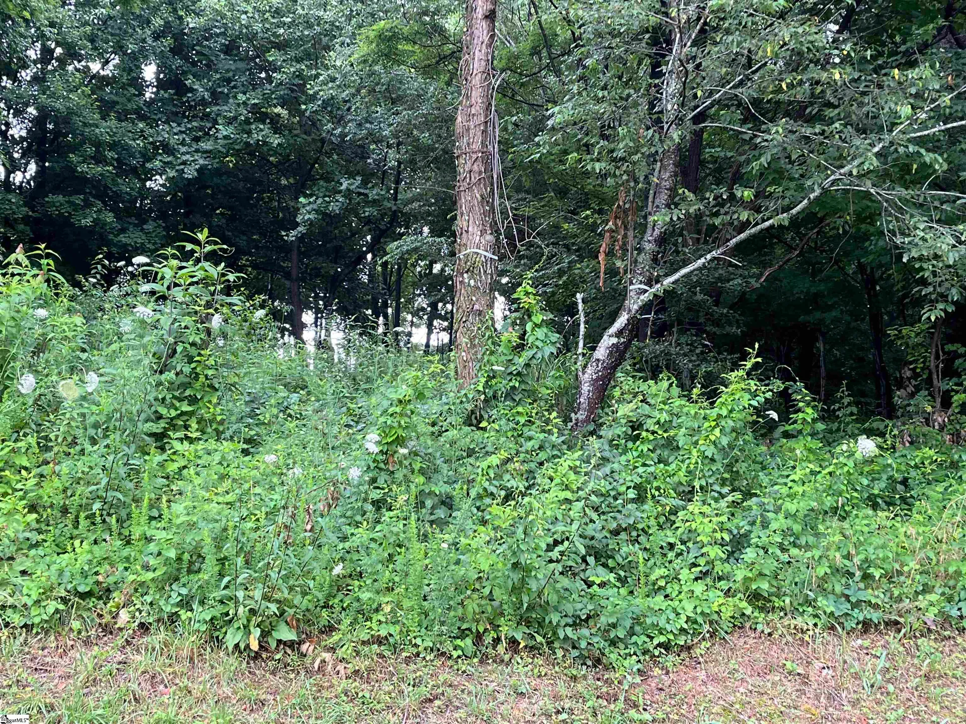 Property image 2 at 280 Foggy Cut Lane, Landrum, SC 29356