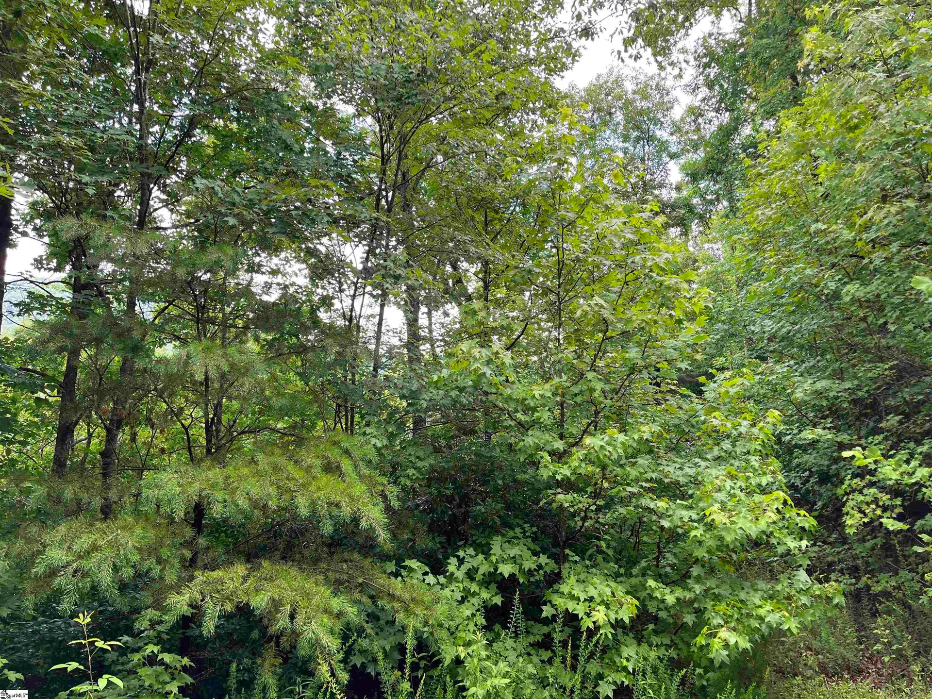 Property image 3 at 280 Foggy Cut Lane, Landrum, SC 29356