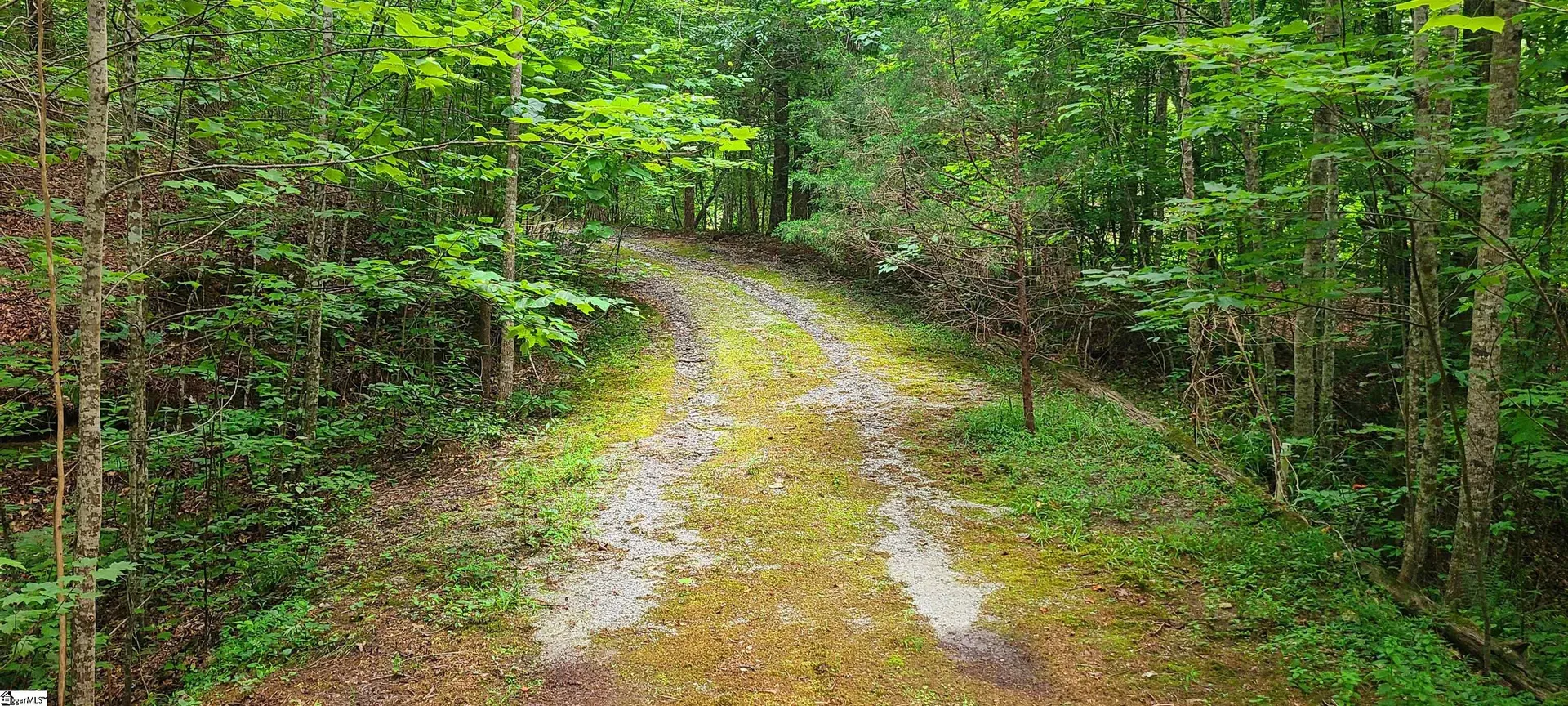 Property image 4 at 104 Vivians Lane, Pickens, SC 29671