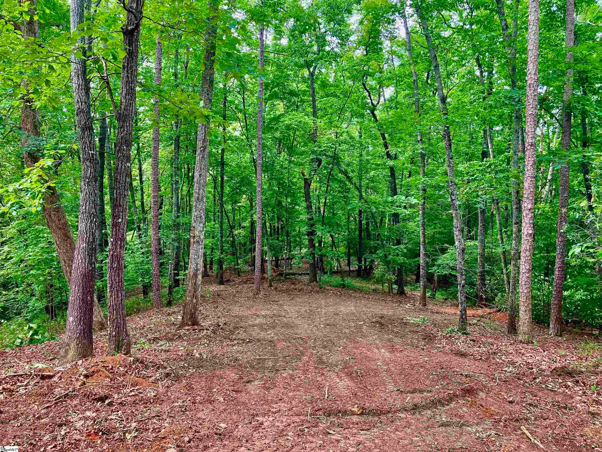 Property image 2 at 25 Cherokee Rose Trail, Marietta, SC 29661