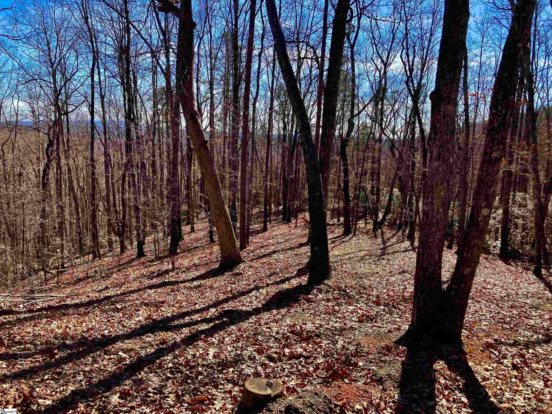 Property image 3 at 25 Cherokee Rose Trail, Marietta, SC 29661