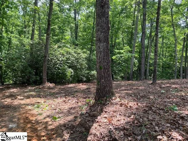 Property image 4 at 25 Cherokee Rose Trail, Marietta, SC 29661