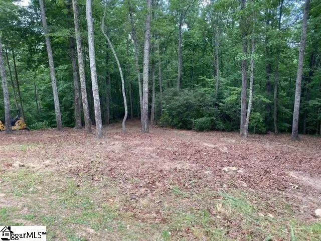 Property image 5 at 25 Cherokee Rose Trail, Marietta, SC 29661