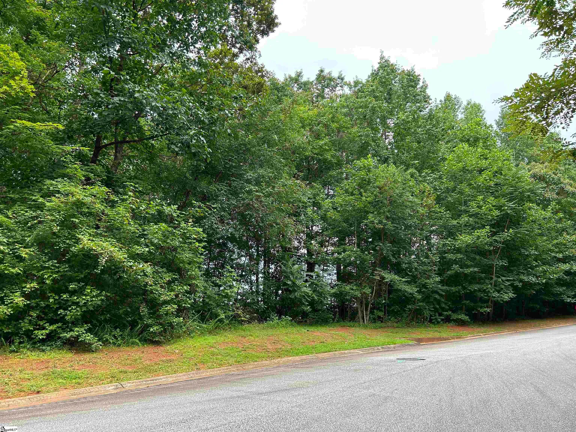 Property image 5 at 5 Falling Leaf Drive, Travelers Rest, SC 29690