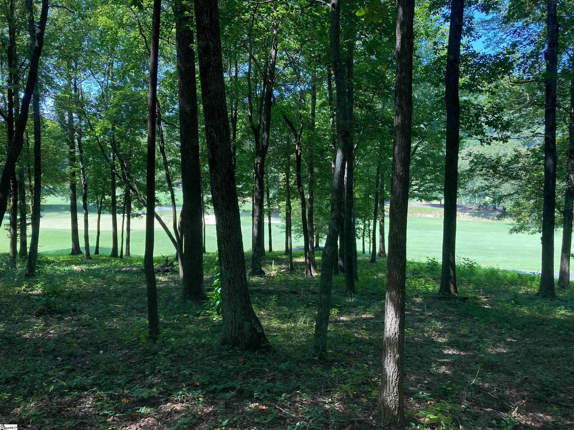Property image 2 at 113 Foxboro Road, Travelers Rest, SC 29690