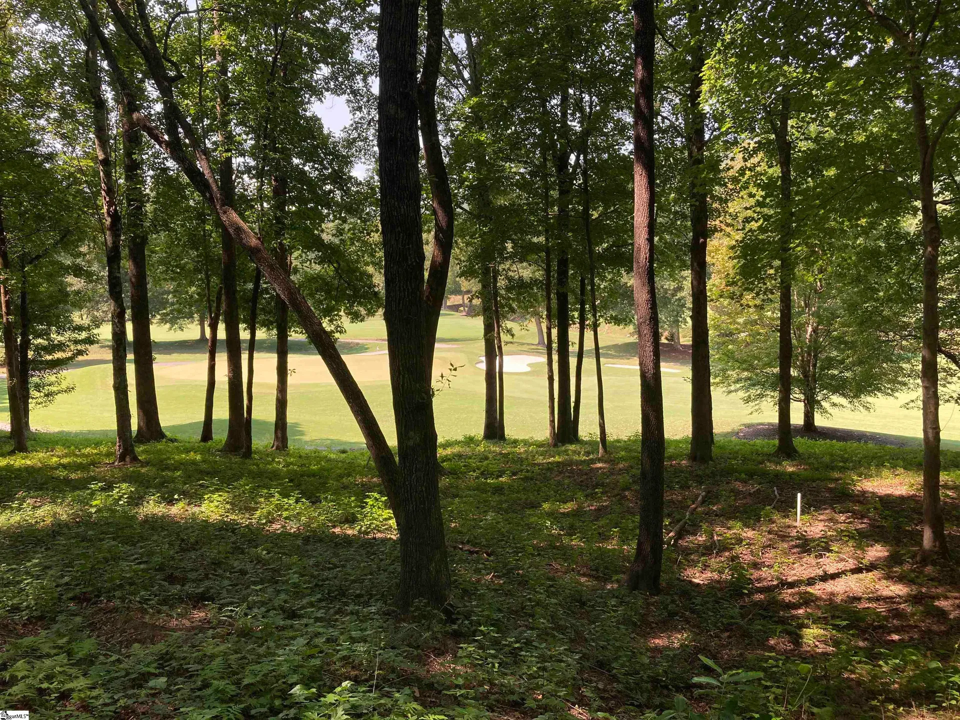 Property image 3 at 113 Foxboro Road, Travelers Rest, SC 29690