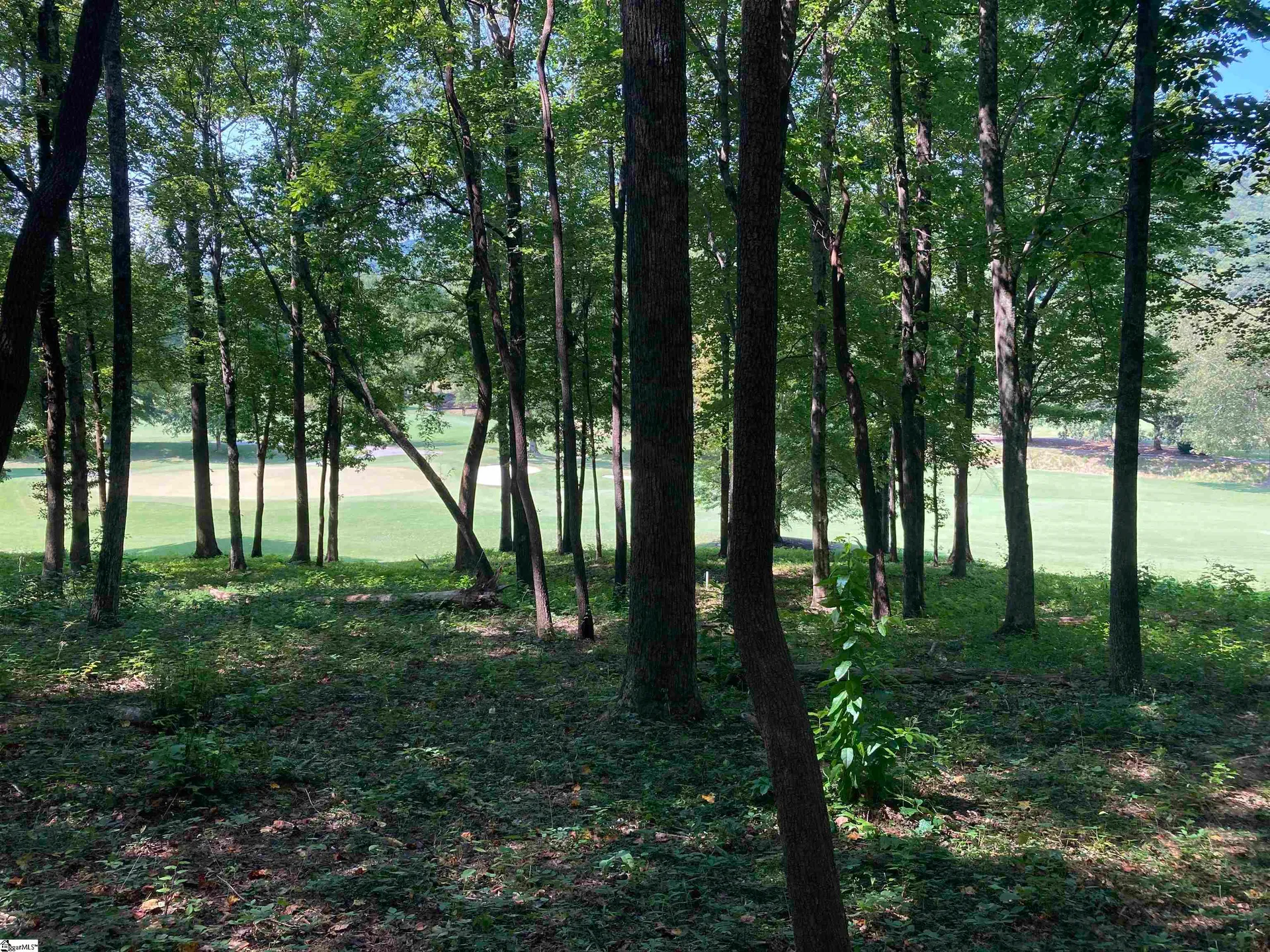 Property image 4 at 113 Foxboro Road, Travelers Rest, SC 29690