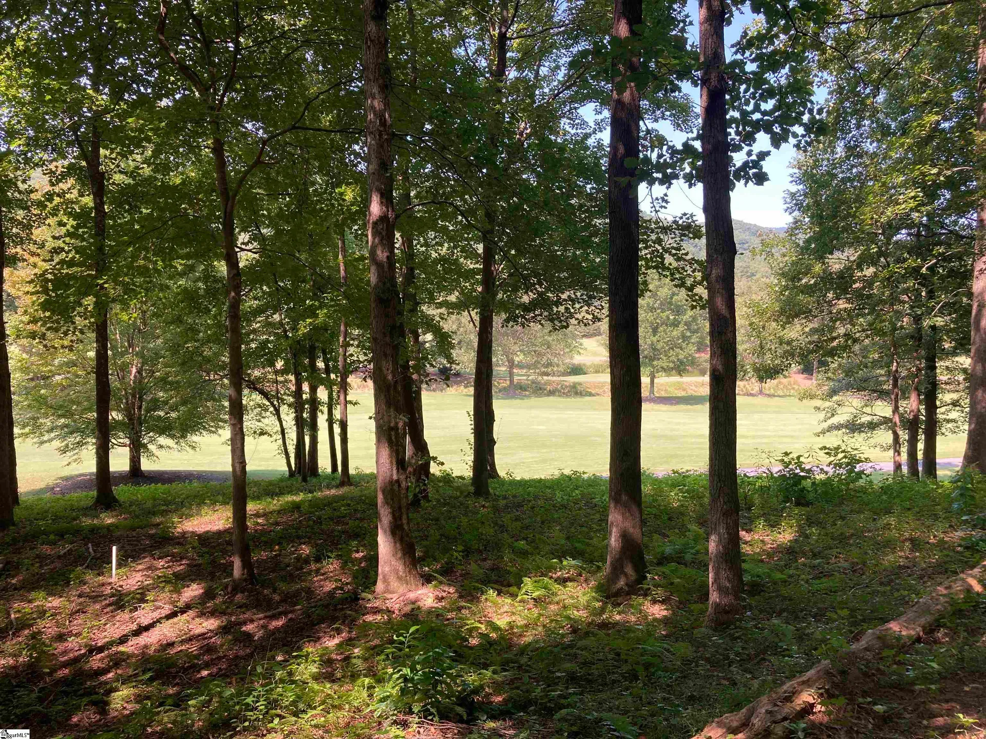 Property image 5 at 113 Foxboro Road, Travelers Rest, SC 29690