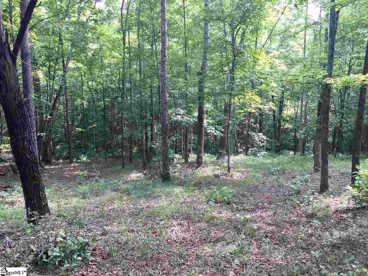 200 Darting Sparrow Way