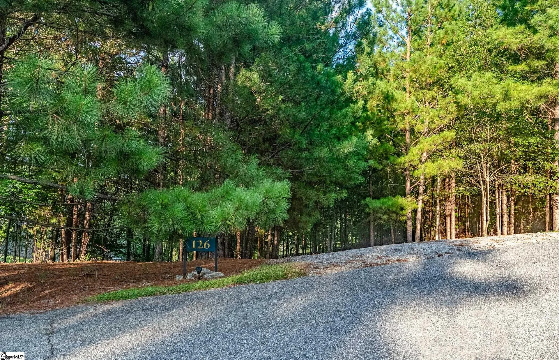 Property image 4 at 126 Bright Water Trail, Six Mile, SC 29682