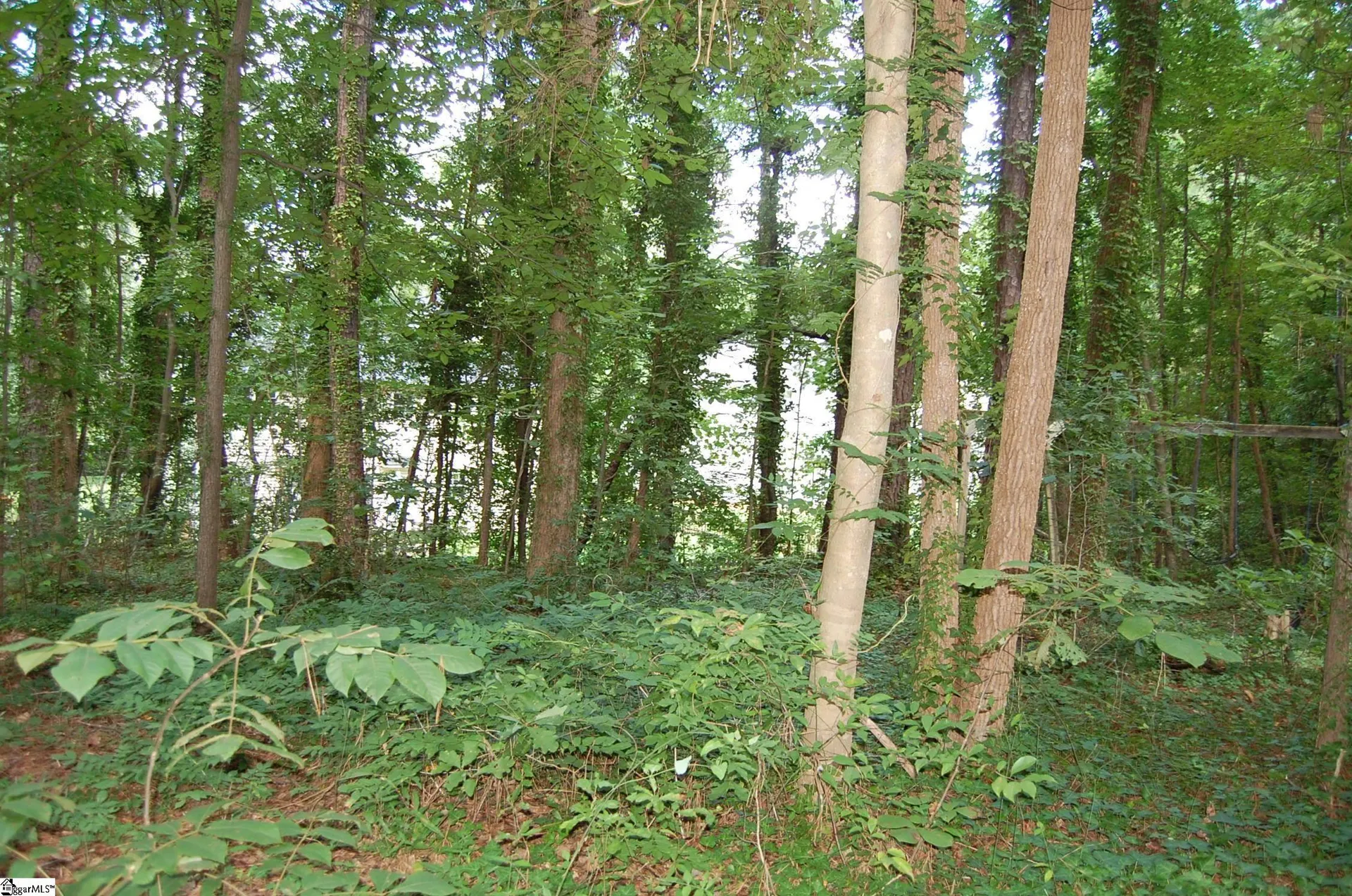 Property image 3 at 118 Shawn Drive, Mauldin, SC 29662