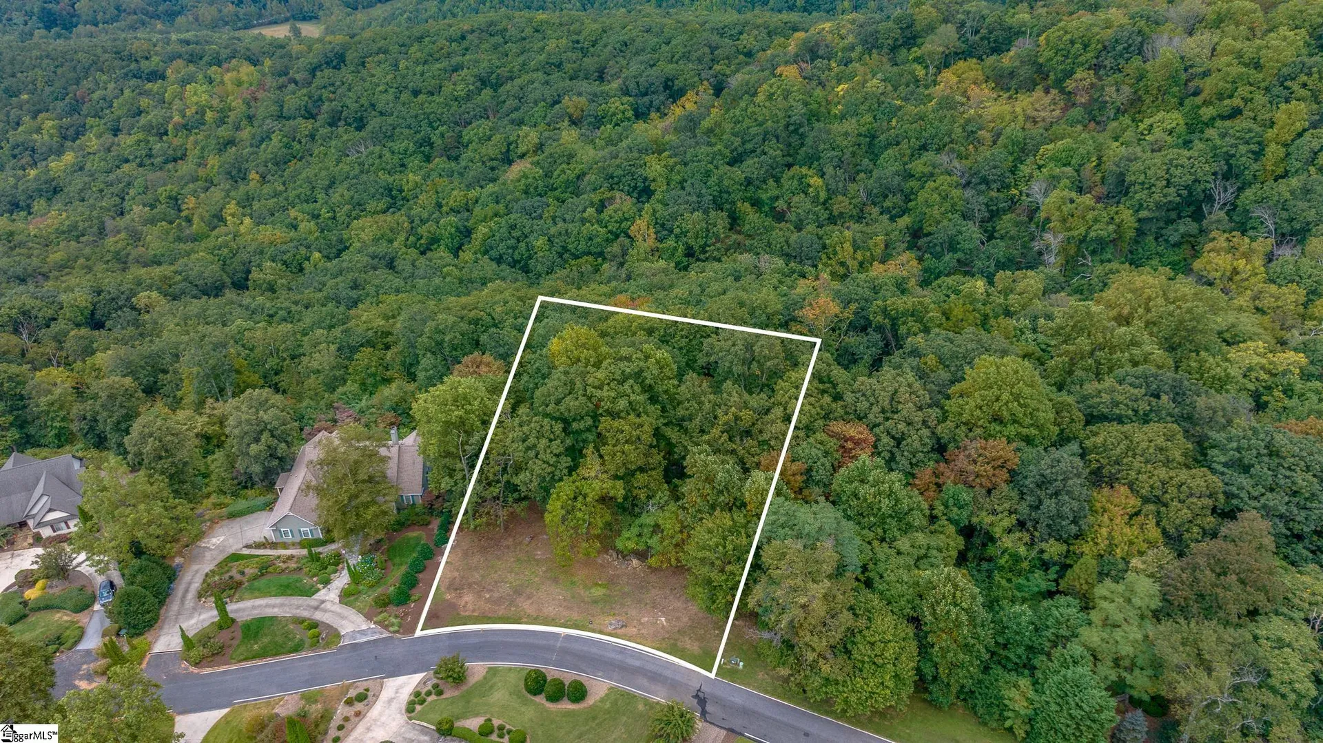 Property image 3 at 40 Blue Teal Way, Landrum, SC 29356-3329