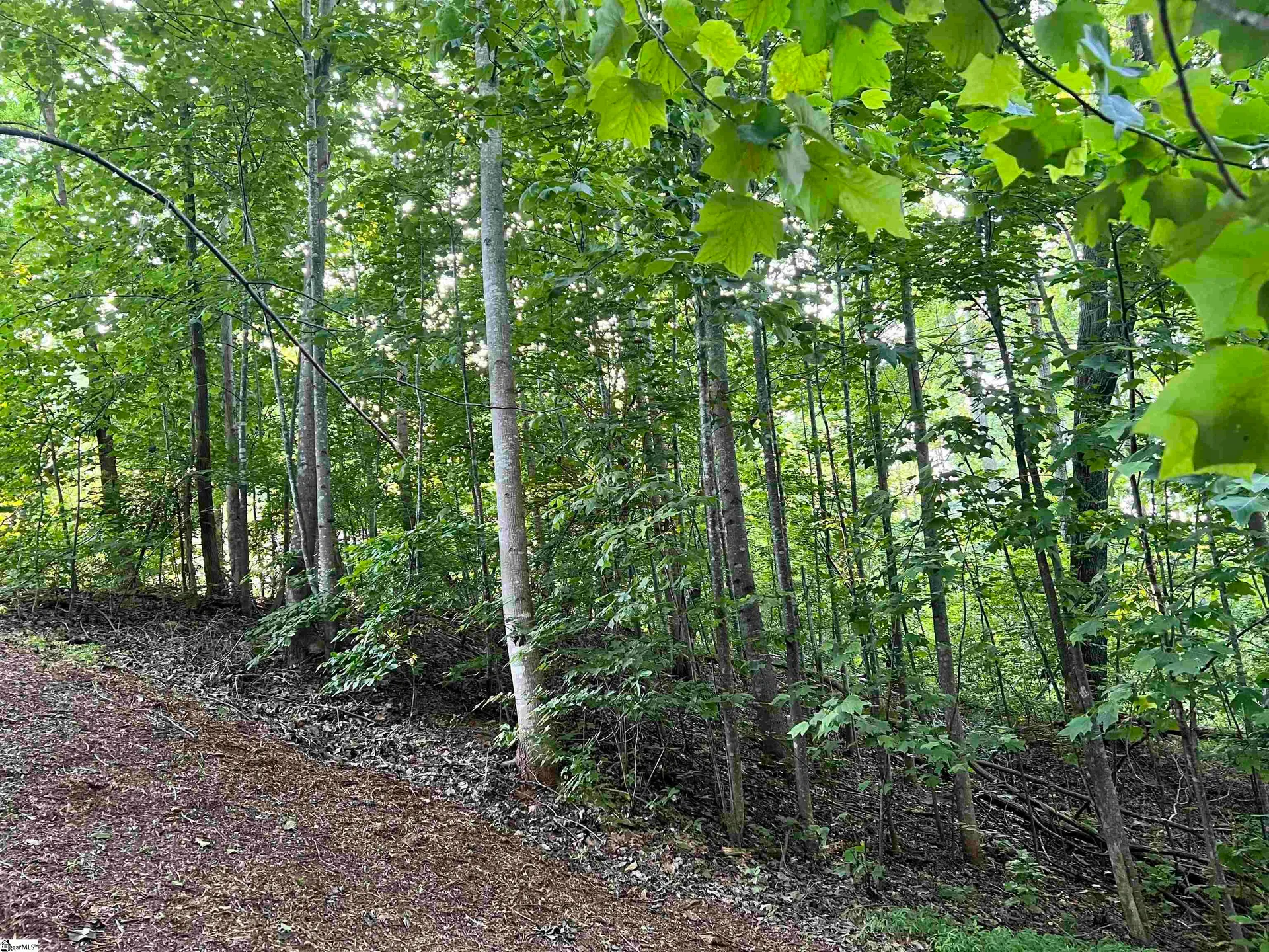 Property image 2 at 20 Savage Court, Travelers Rest, SC 29690