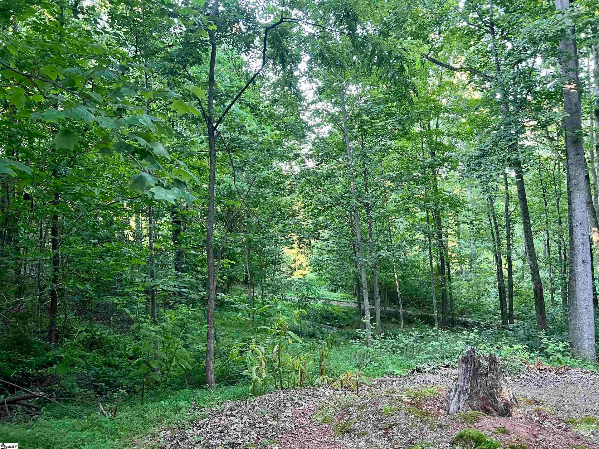 Property image 3 at 20 Savage Court, Travelers Rest, SC 29690