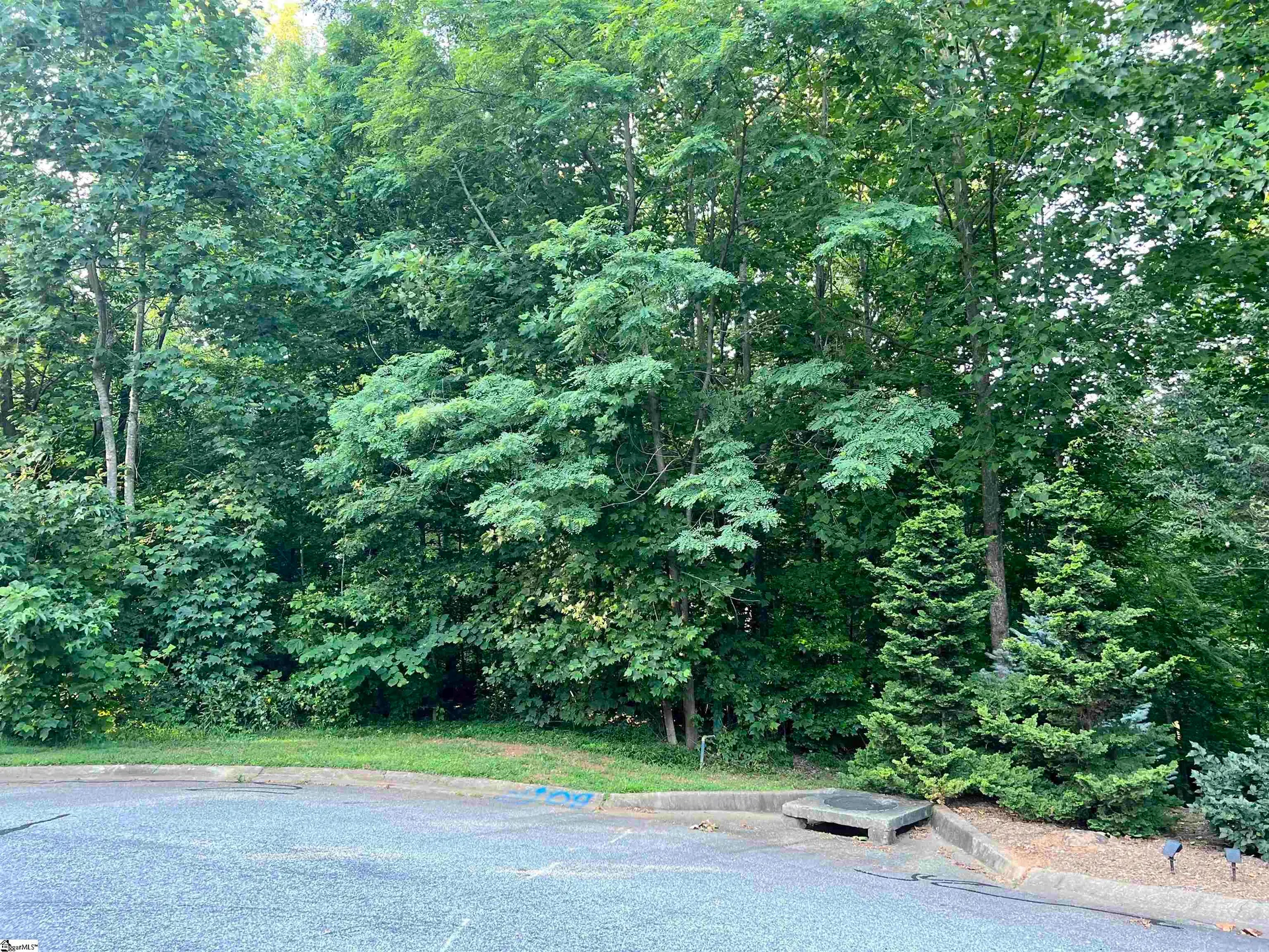 Property image 4 at 20 Savage Court, Travelers Rest, SC 29690