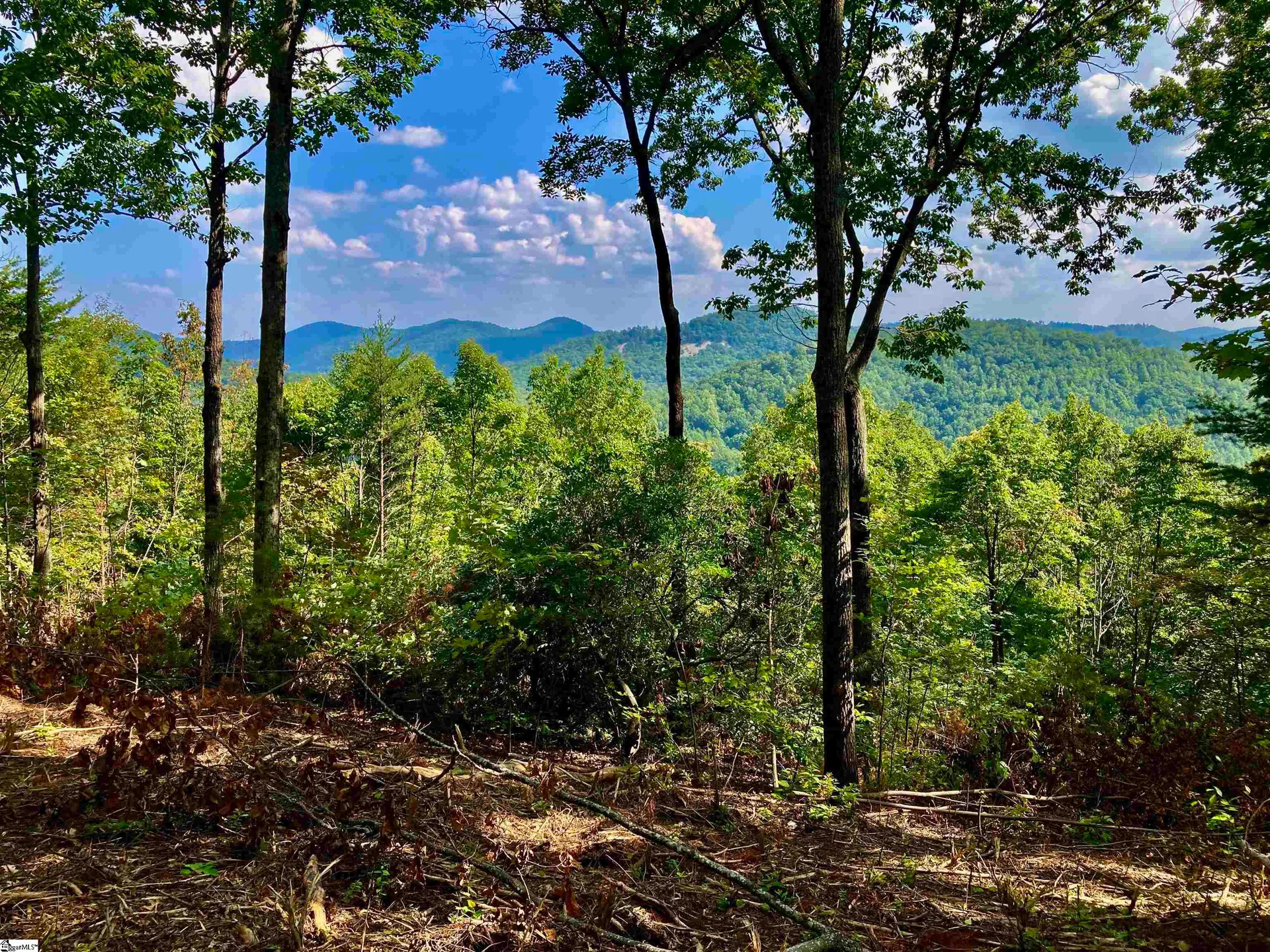 Property image 2 at 47 Mountain Oak Lane, Travelers Rest, SC 29690