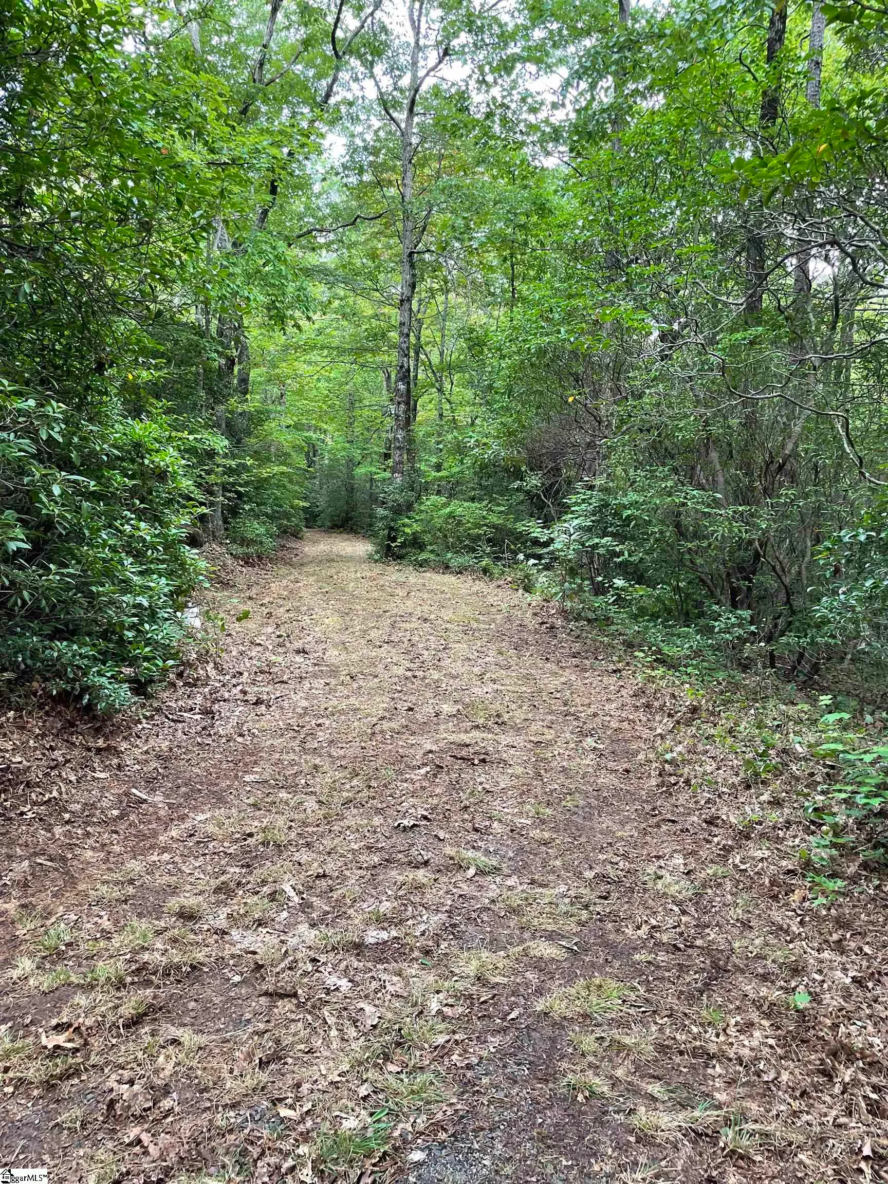 Property image 3 at 116 Caesar's Pointe, Cleveland, SC 29635