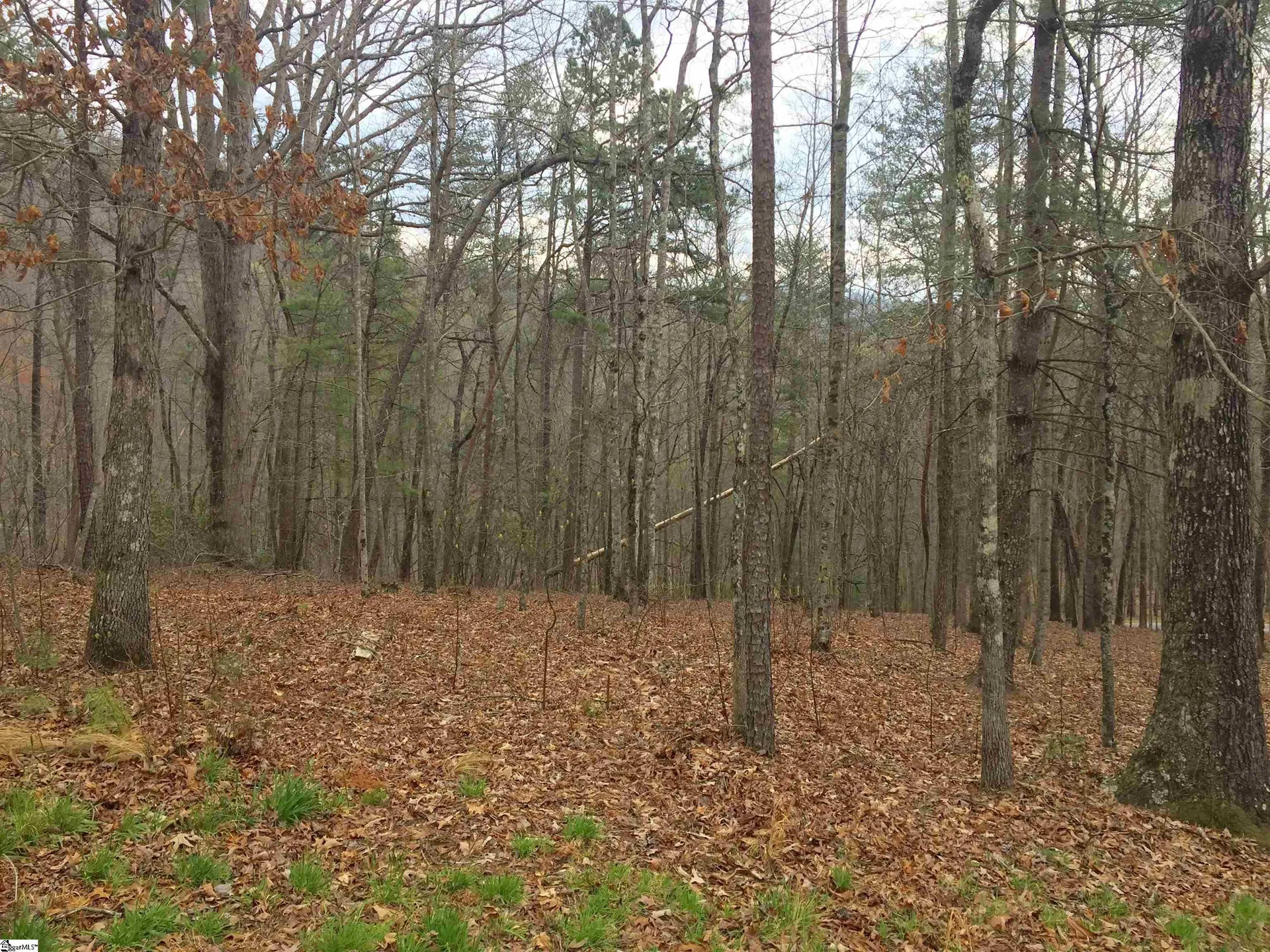 221 Ridge Haven Trail