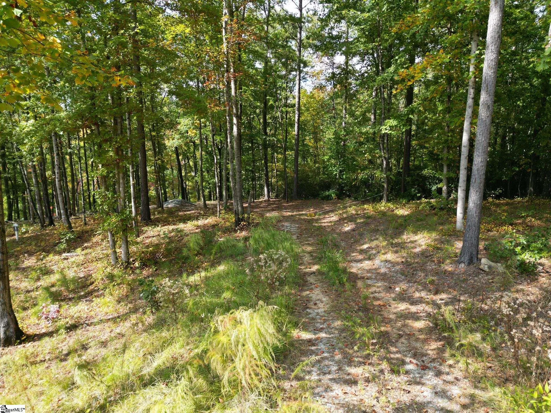 Property image 4 at 418 Sue Craig Drive, Six Mile, SC 29682