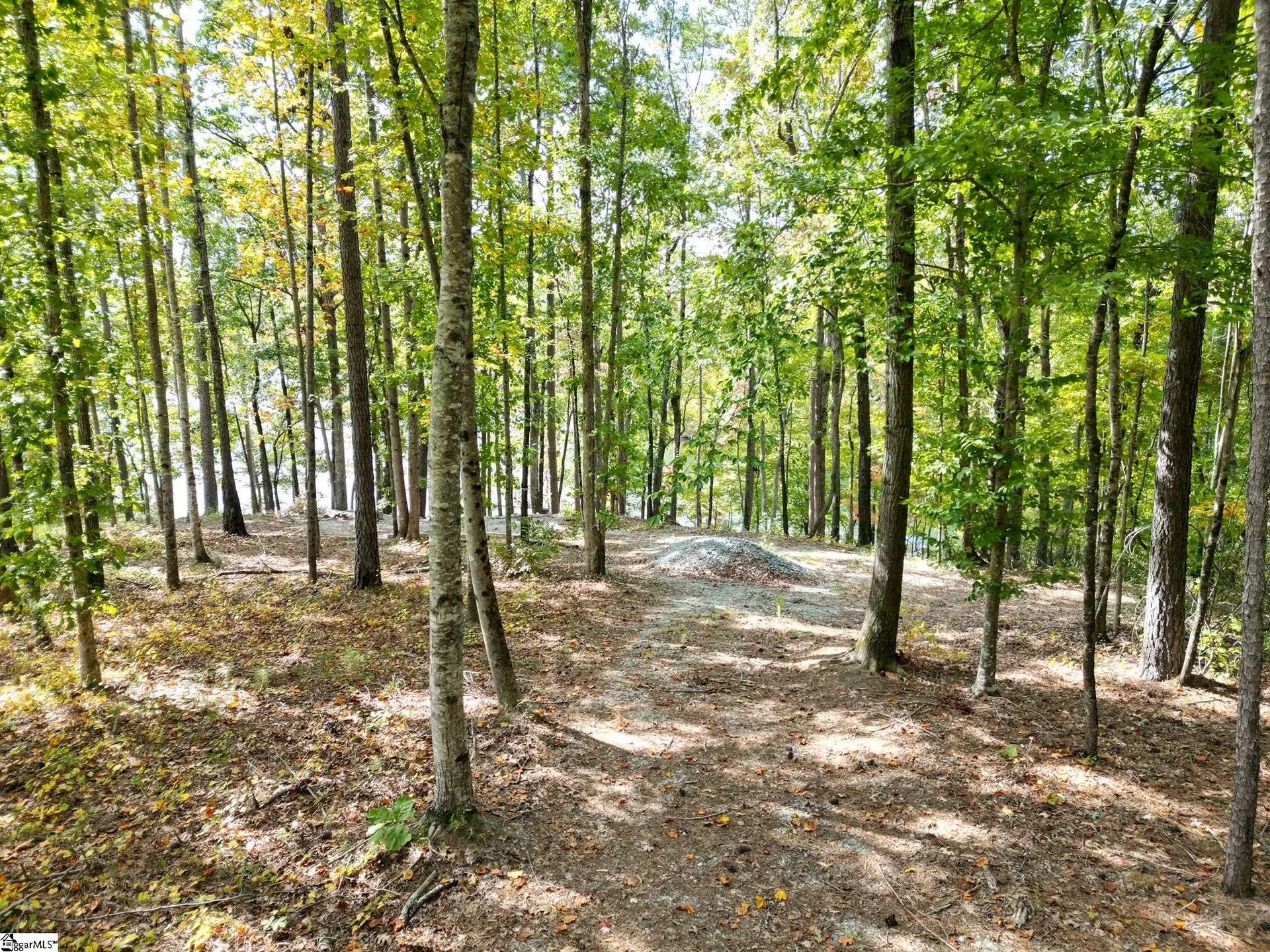 Property image 5 at 418 Sue Craig Drive, Six Mile, SC 29682
