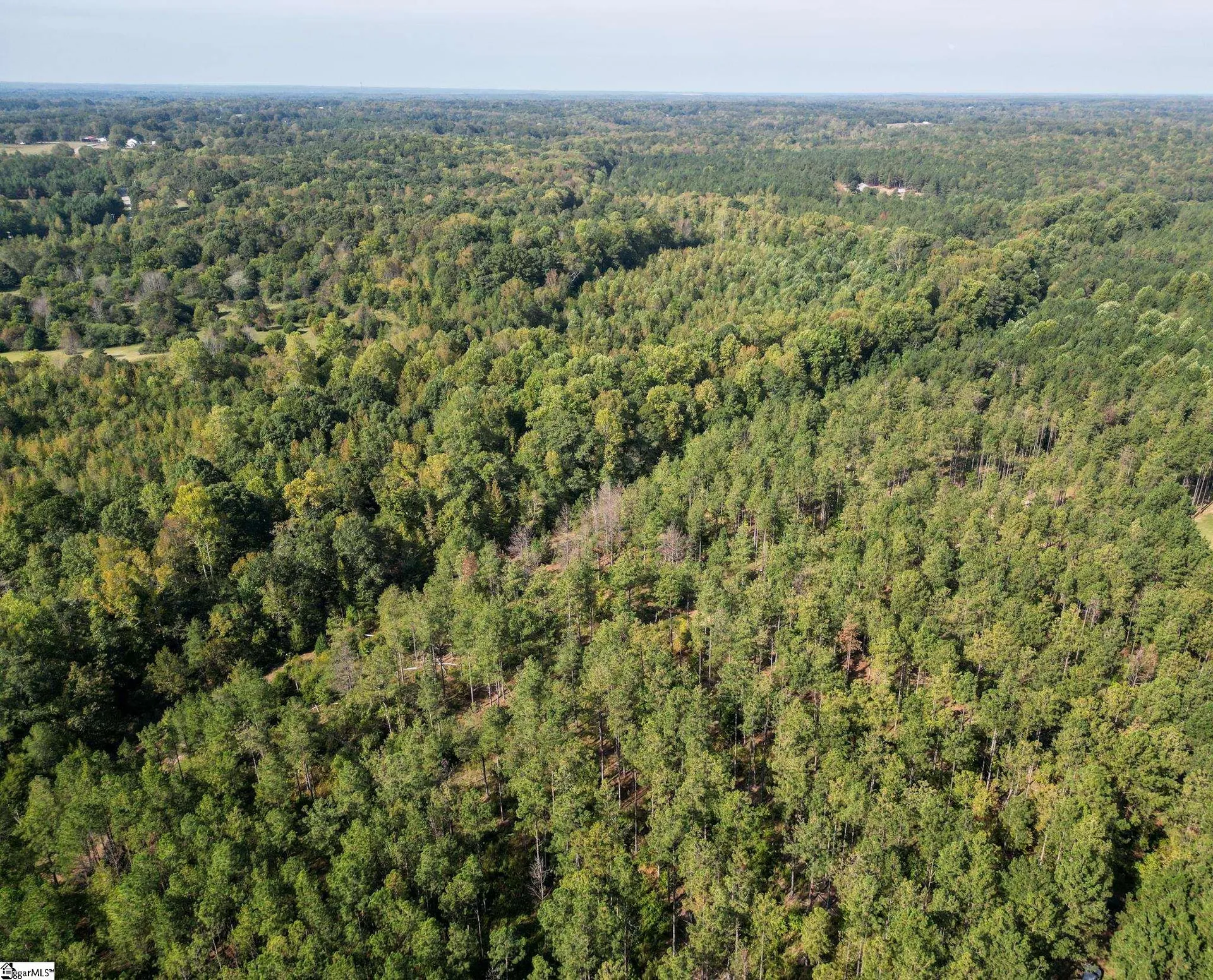 Property image 3 at 862 Dunklin Bridge Road, Fountain Inn, SC 29644