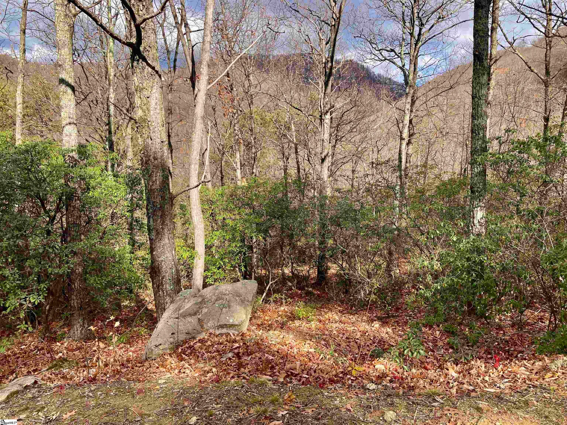 901 Mountain Summit Road