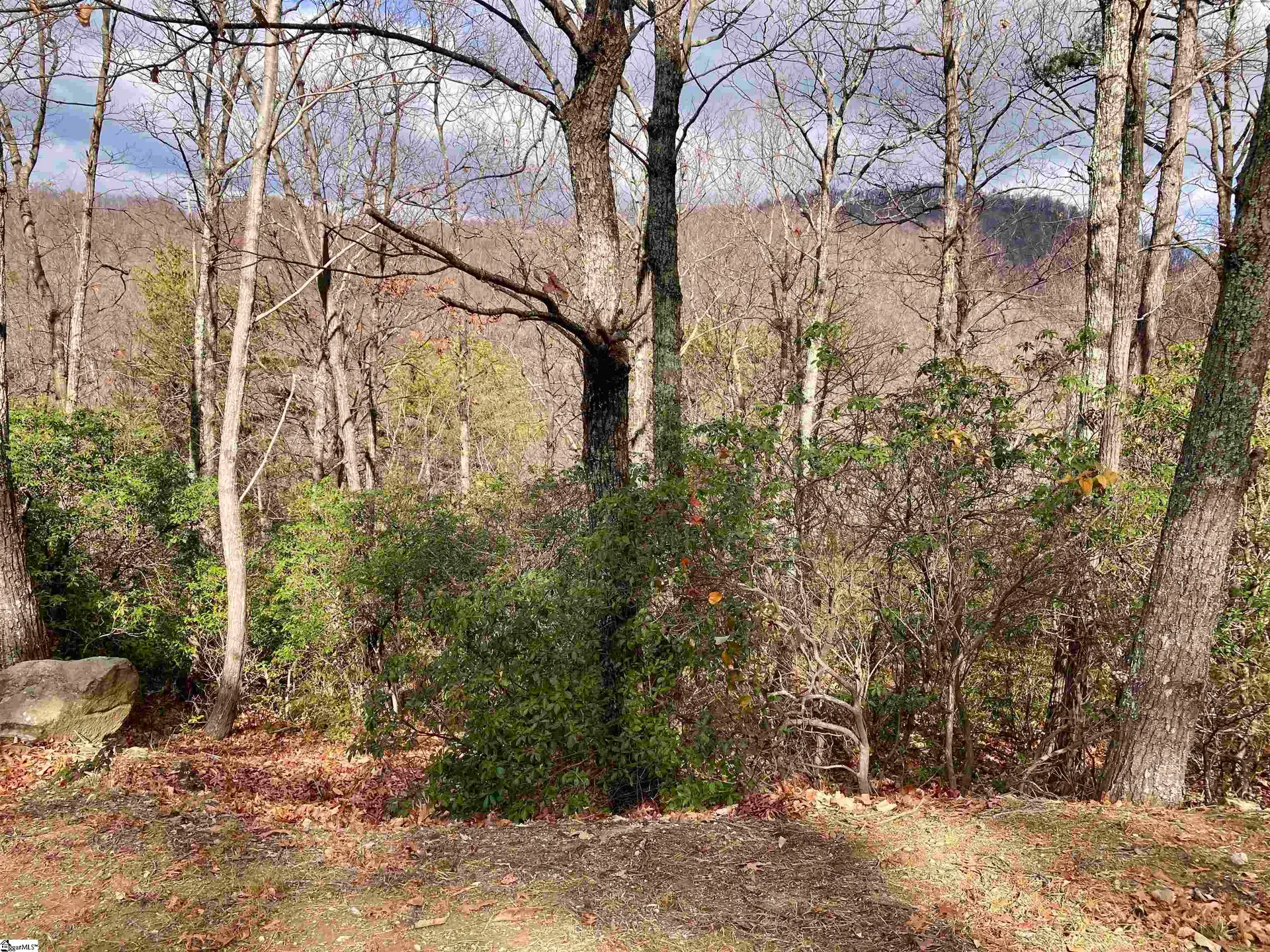 Property image 2 at 901 Mountain Summit Road, Travelers Rest, SC 29690