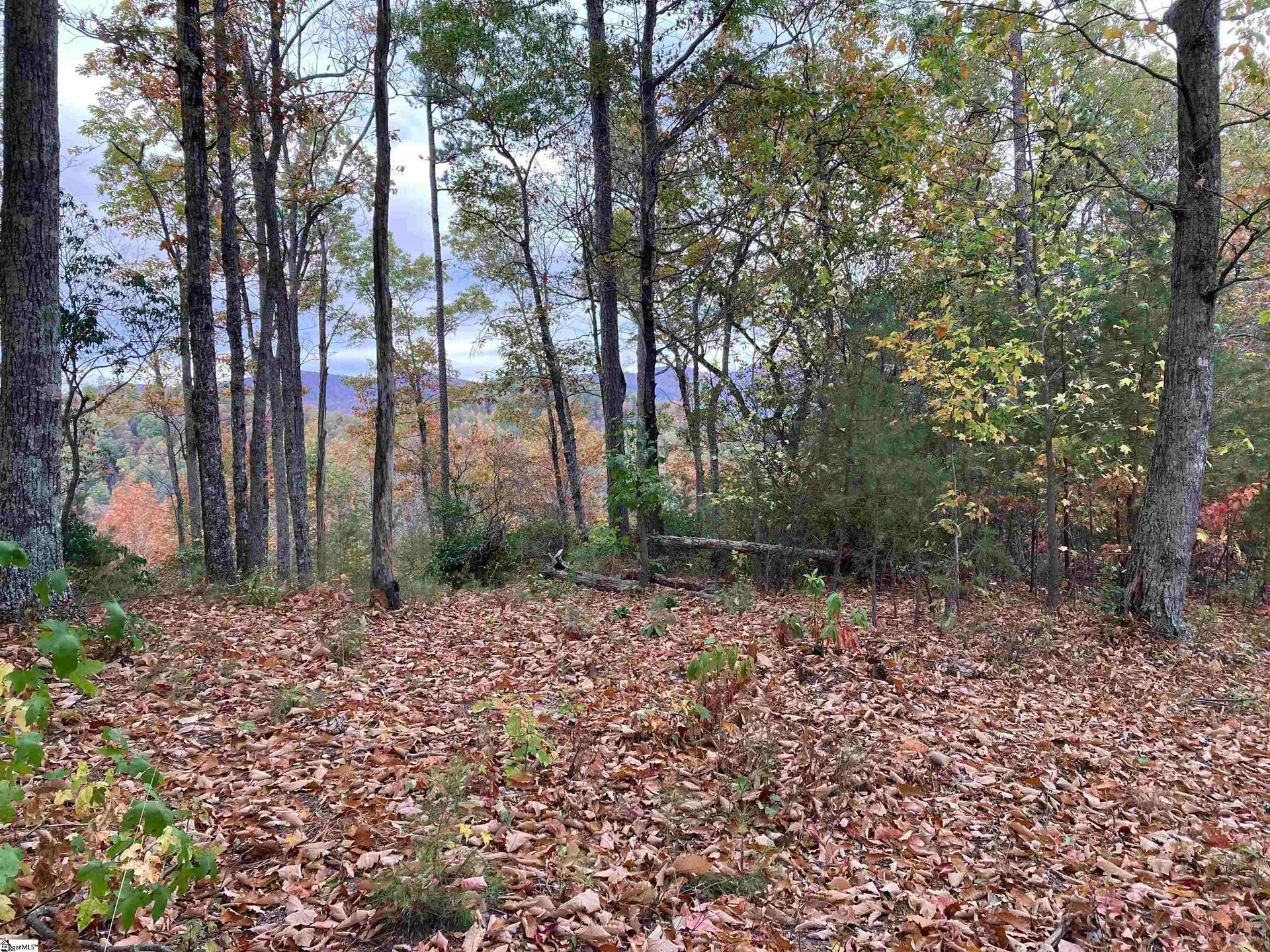 White Fox Trail
