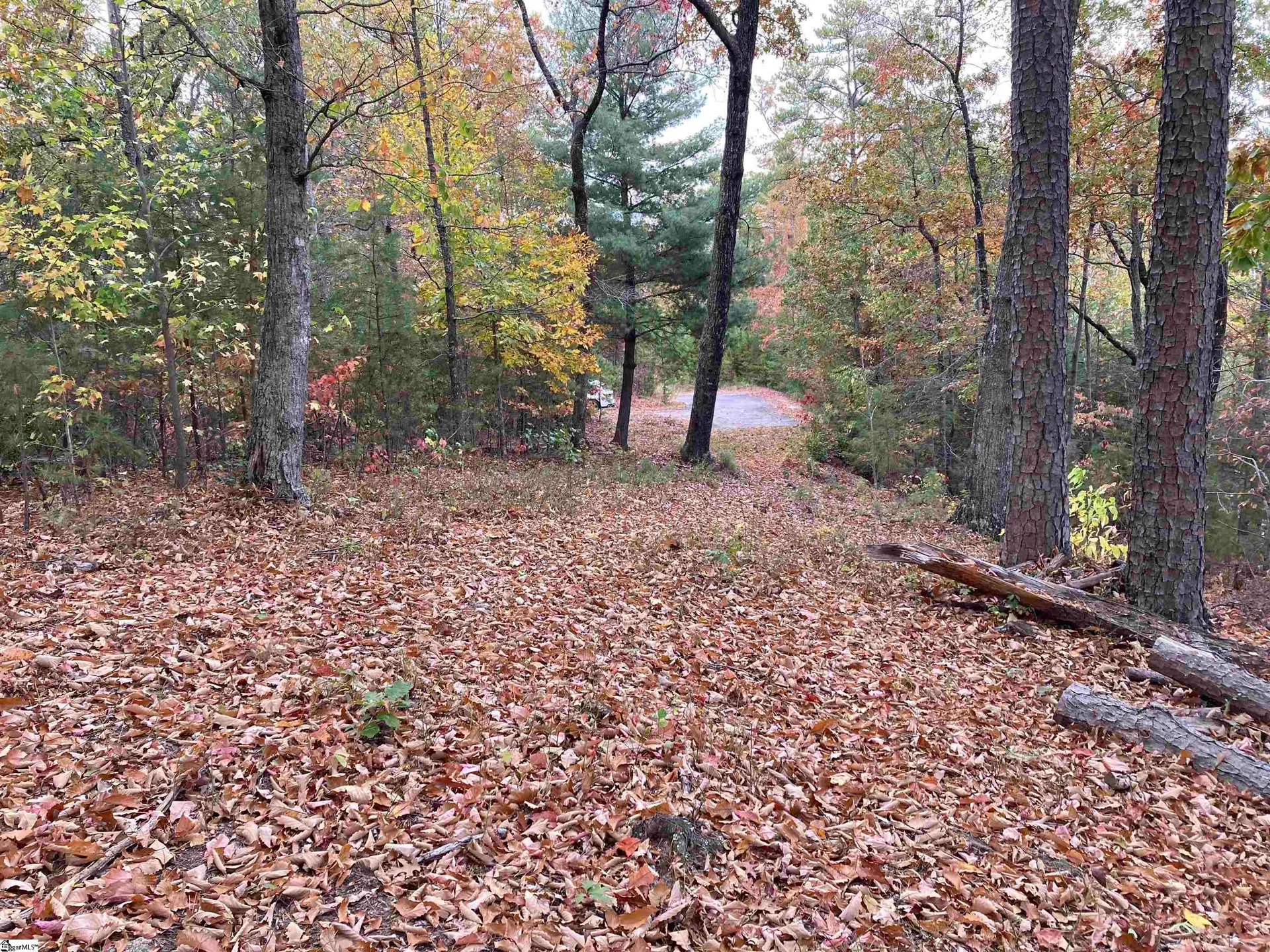 Property image 3 at White Fox Trail, Marietta, SC 29661