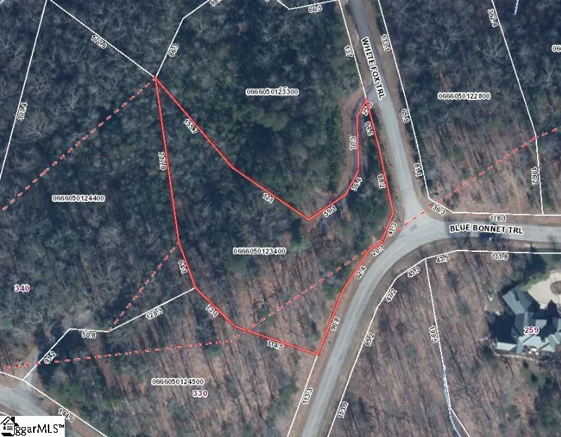 Property image 4 at White Fox Trail, Marietta, SC 29661