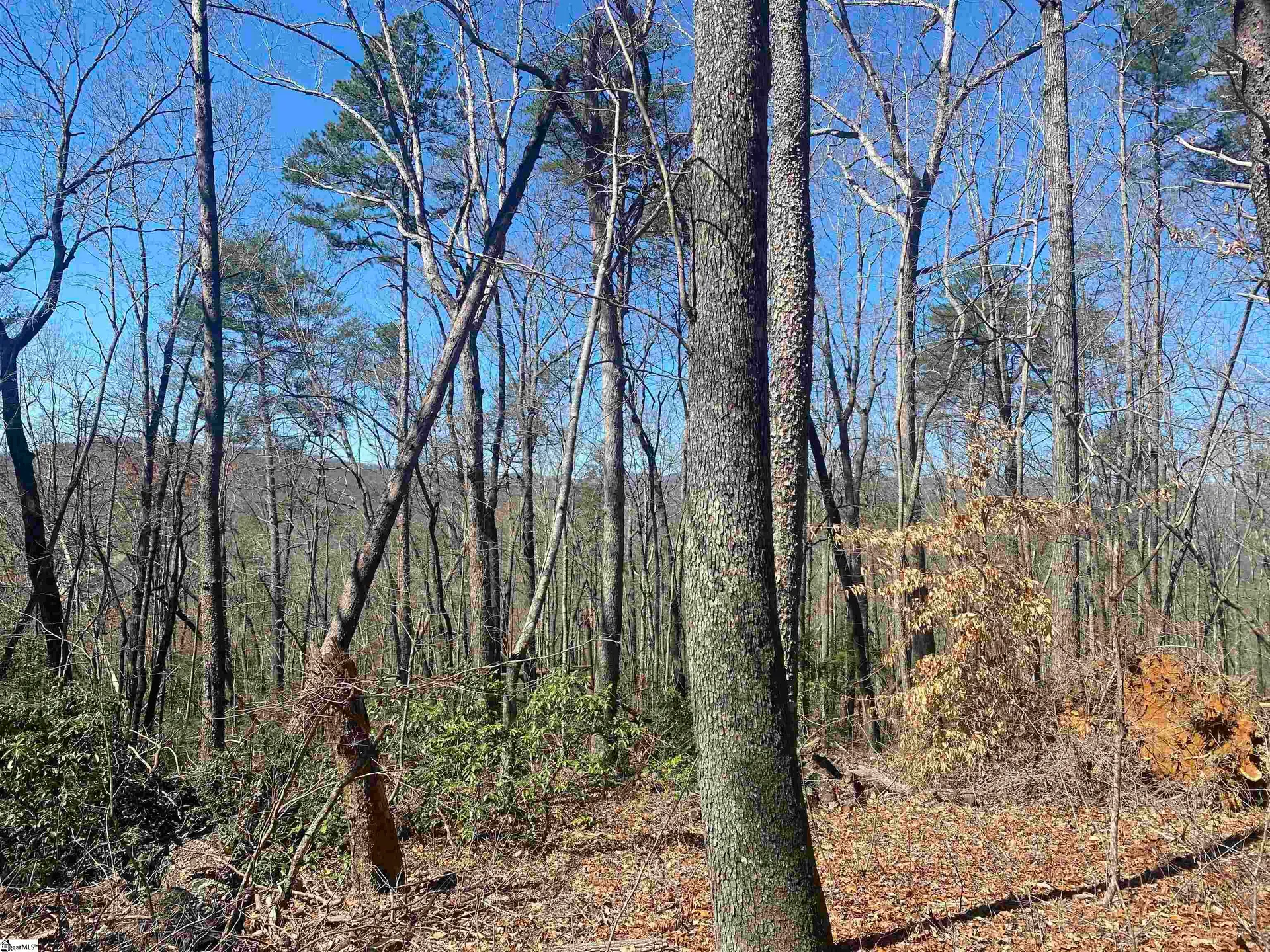 Property image 2 at 215 Luberon Lane, Travelers Rest, SC 29690
