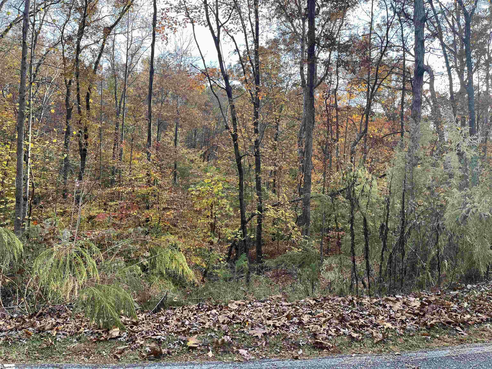 Property image 2 at 0 S Hogan Drive, Westminster, SC 29693