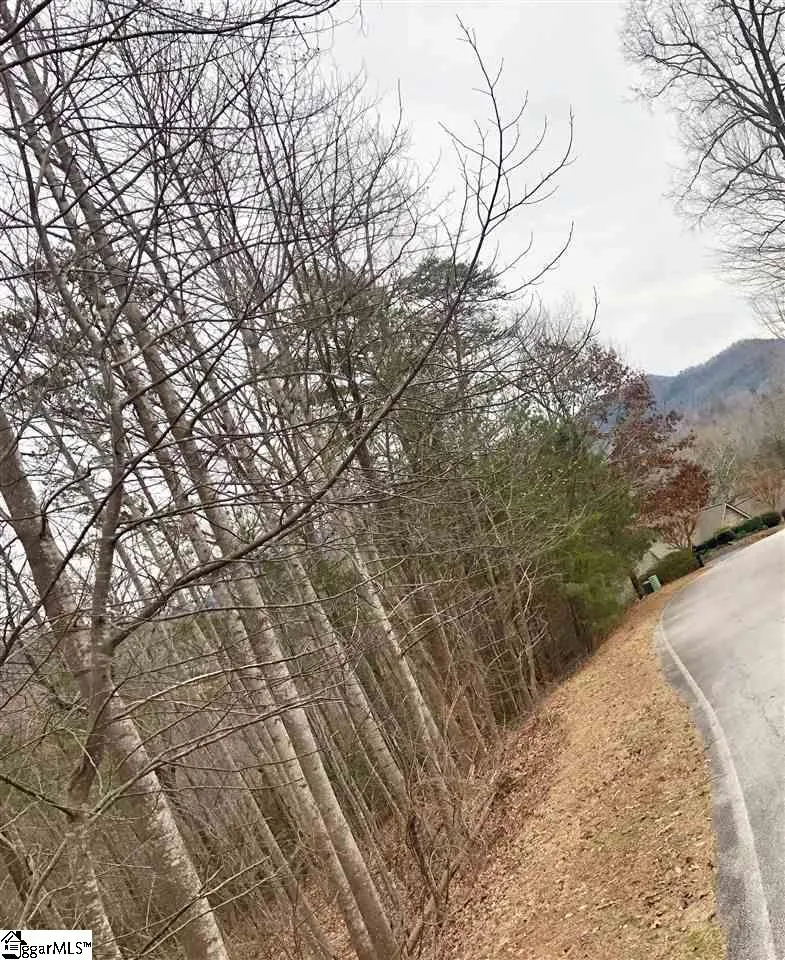 Property image 2 at 305 Sedgewick Road, Travelers Rest, SC 29690