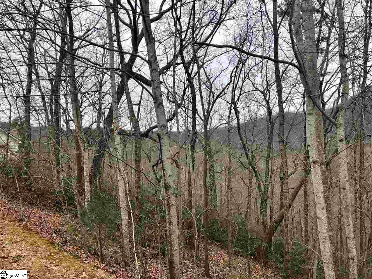 Property image 3 at 305 Sedgewick Road, Travelers Rest, SC 29690