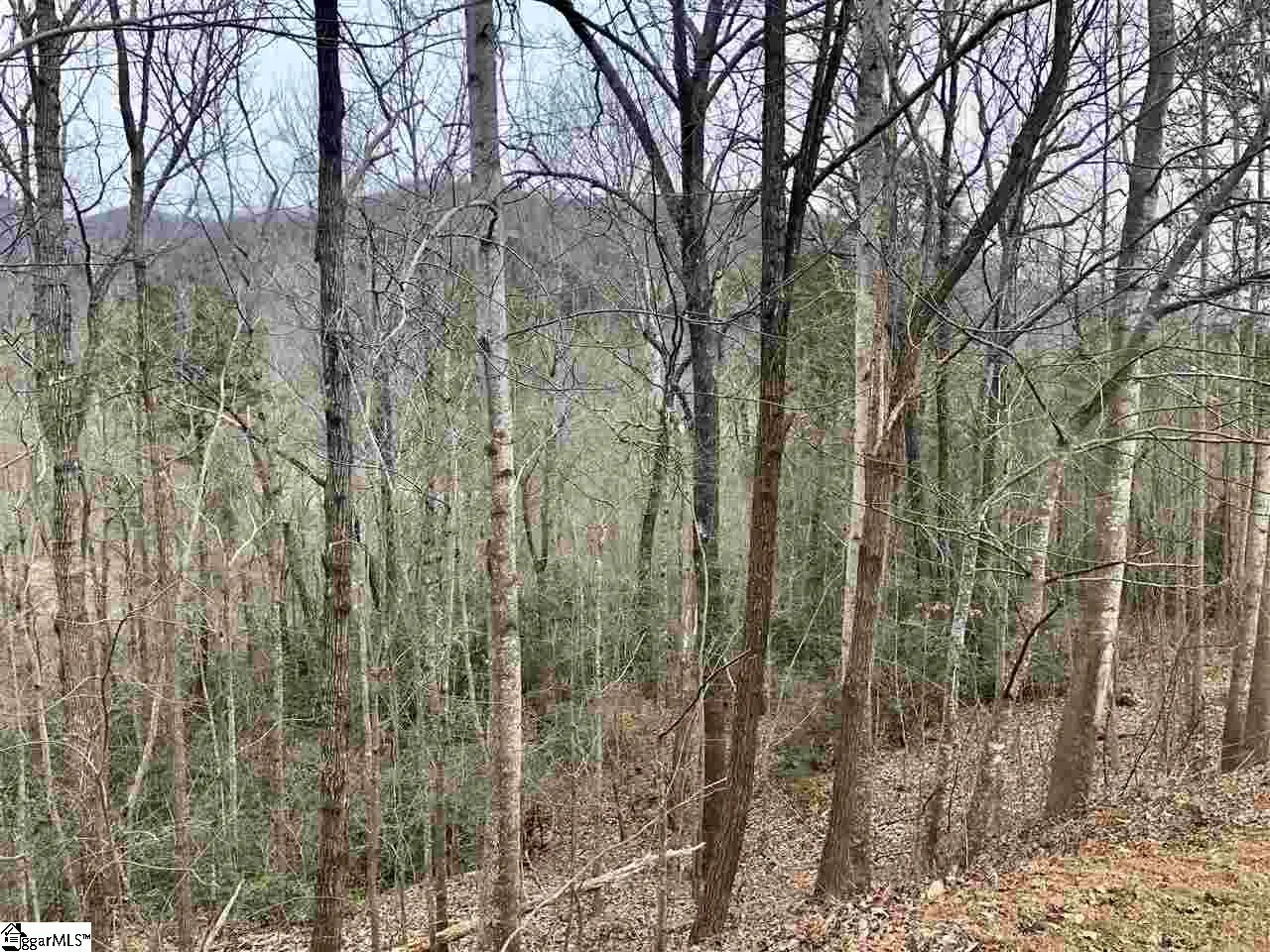 Property image 4 at 305 Sedgewick Road, Travelers Rest, SC 29690