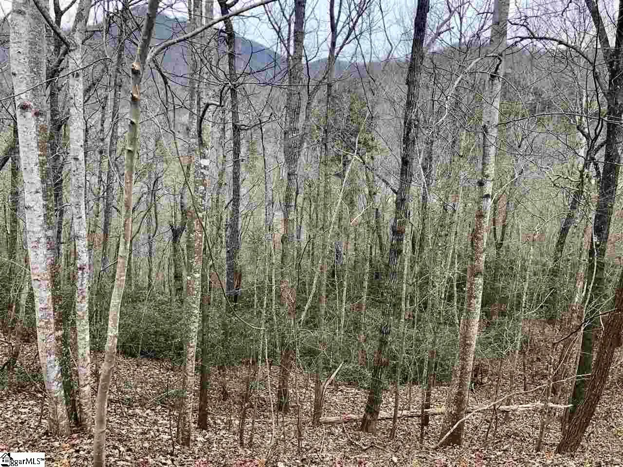 Property image 5 at 305 Sedgewick Road, Travelers Rest, SC 29690
