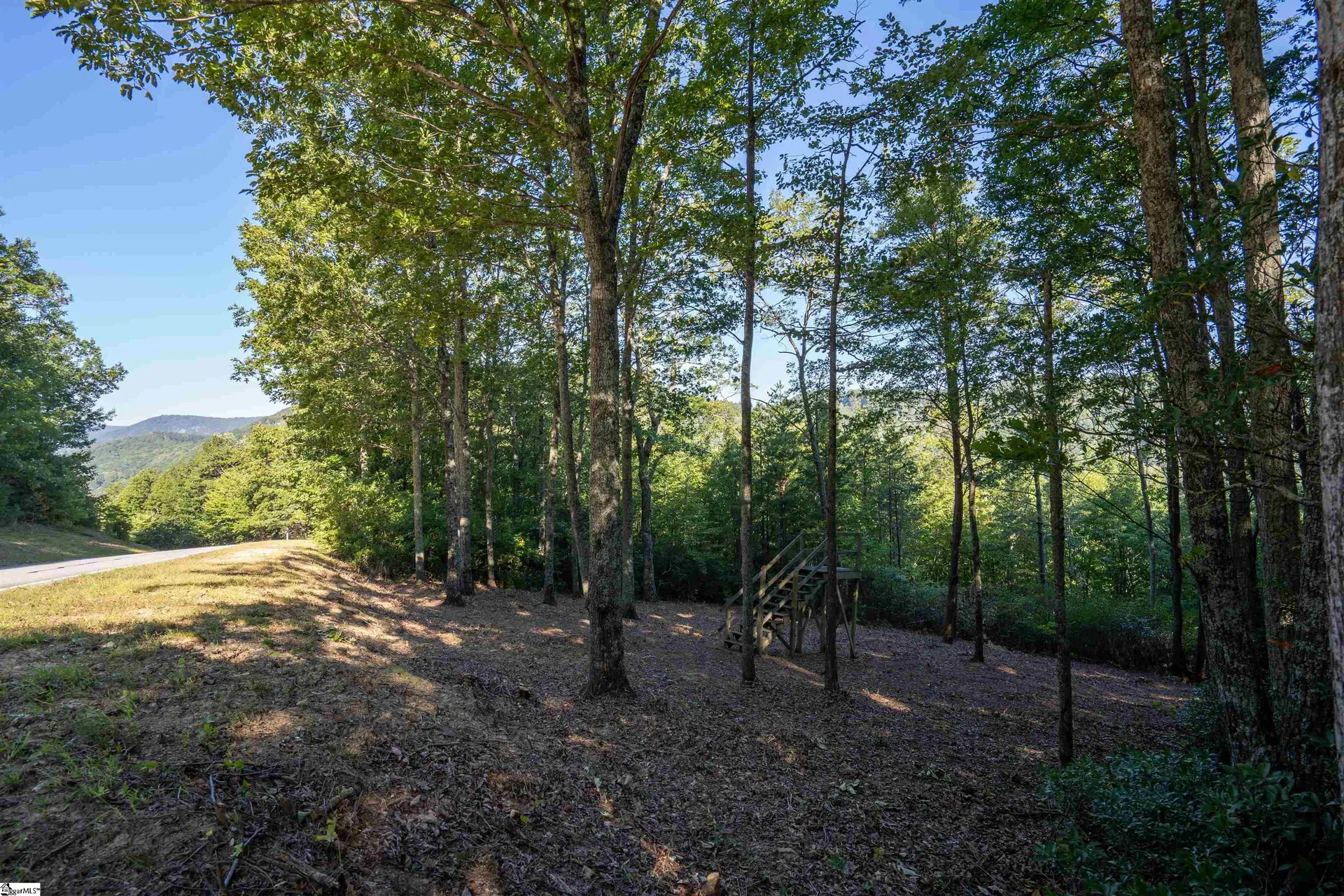 Property image 4 at 905 Mountain Summit Road, Travelers Rest, SC 29690