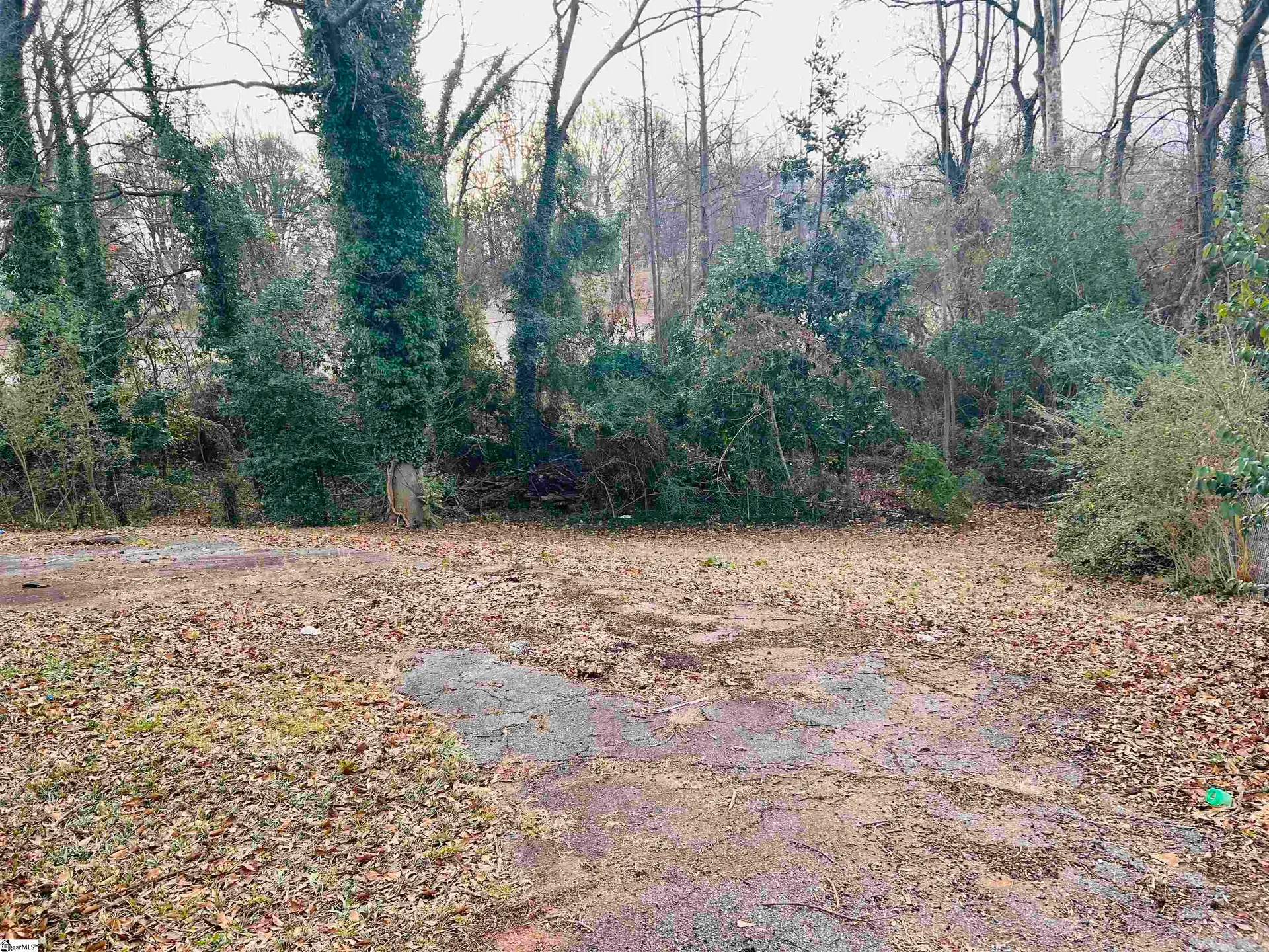 Property image 5 at 131 Catlin Circle, Greenville, SC 29607