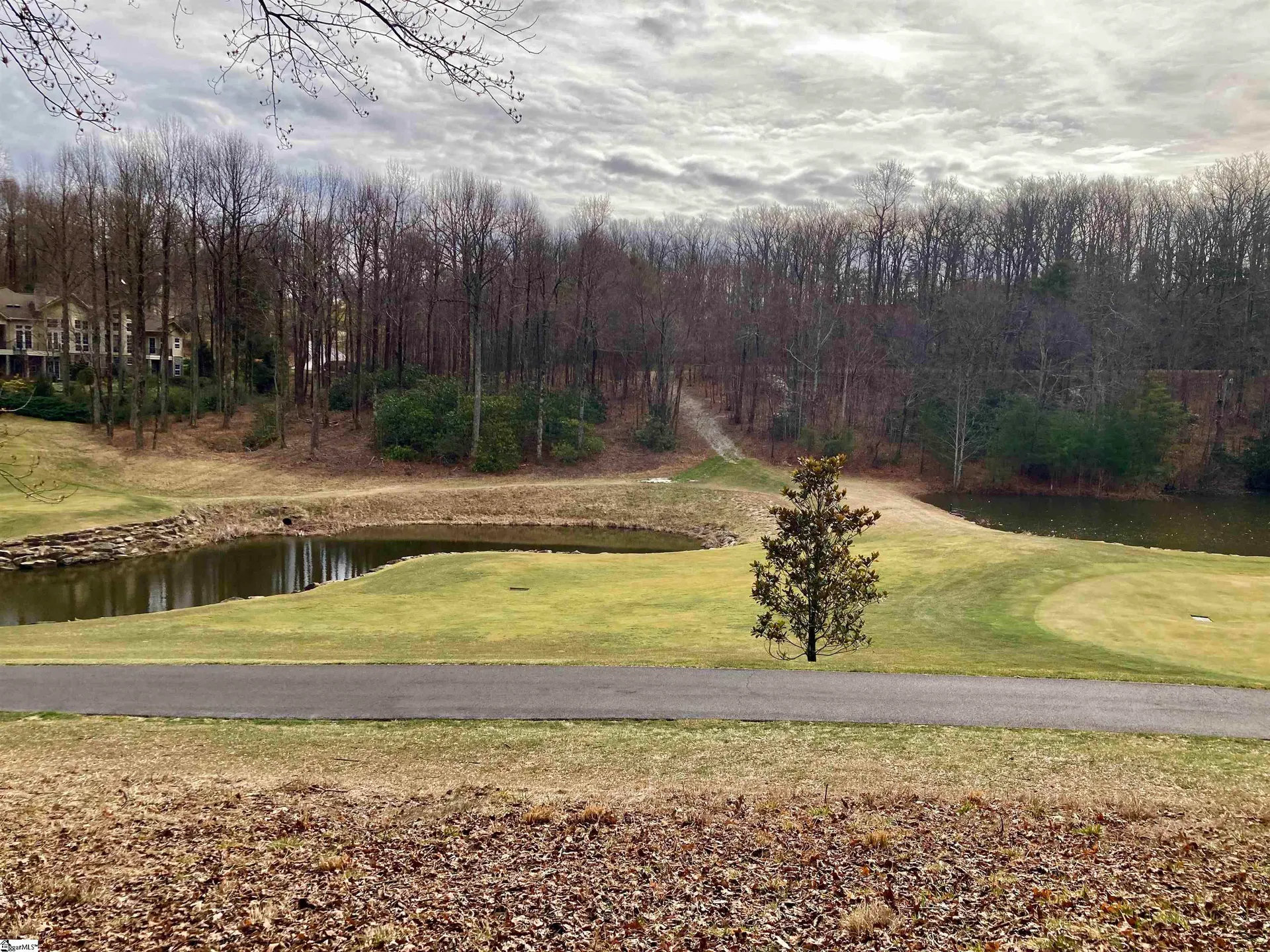 Property image 2 at 238 Snap Dragon Way, Landrum, SC 29356