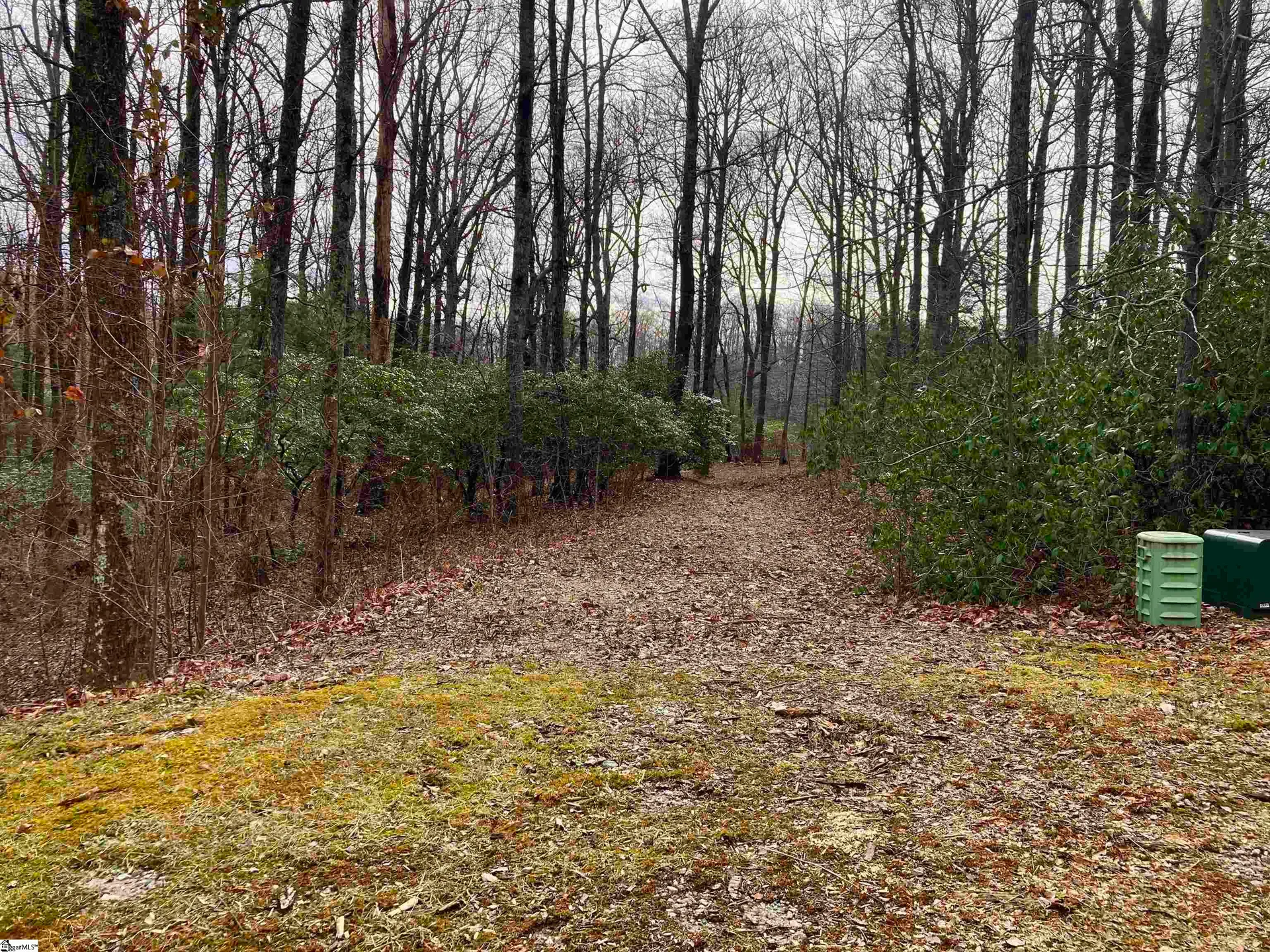 Property image 5 at 238 Snap Dragon Way, Landrum, SC 29356