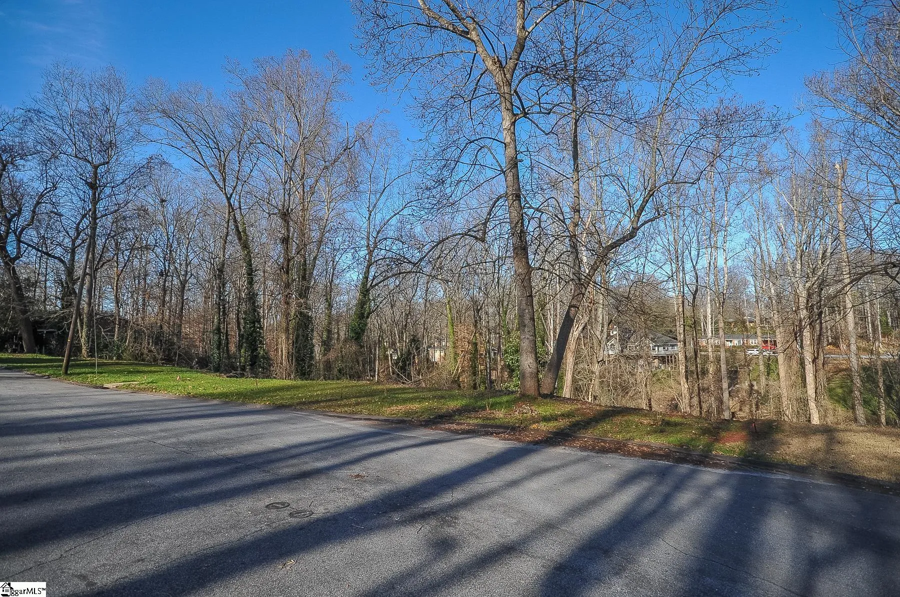 Property image 3 at 00 Ashford Avenue, Greenville, SC 29609