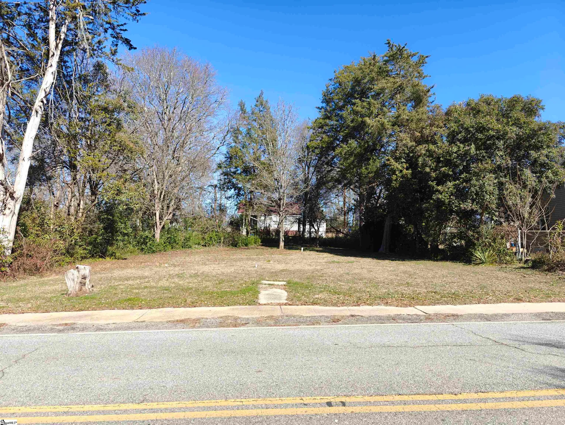 Property image 1 at 243 Poole Street, Woodruff, SC 29388