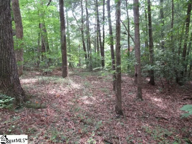 Property image 4 at 425 Whispering Falls Drive, Pickens, SC 29671