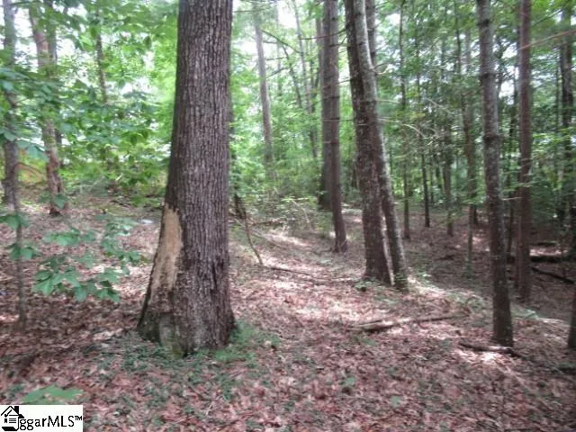 Property image 5 at 425 Whispering Falls Drive, Pickens, SC 29671