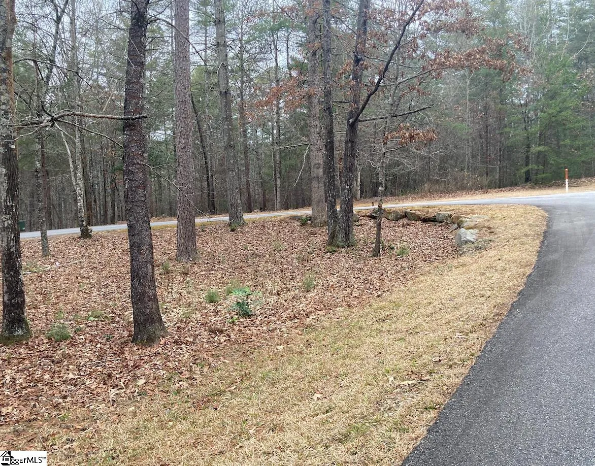 Property image 3 at 105 Chicory Lane, Sunset, SC 29685