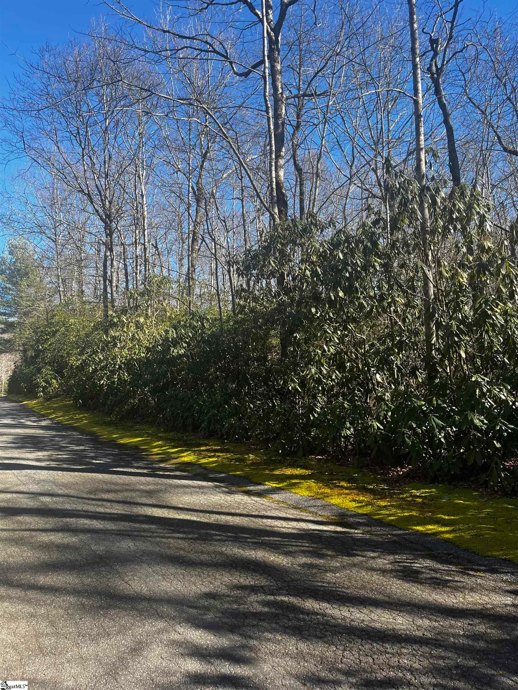 112 Hemlock Trail