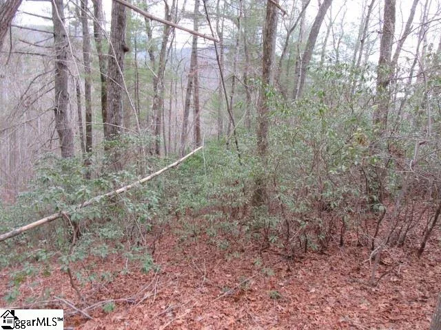 Property image 5 at 430 Whispering Falls Drive, Pickens, SC 29671